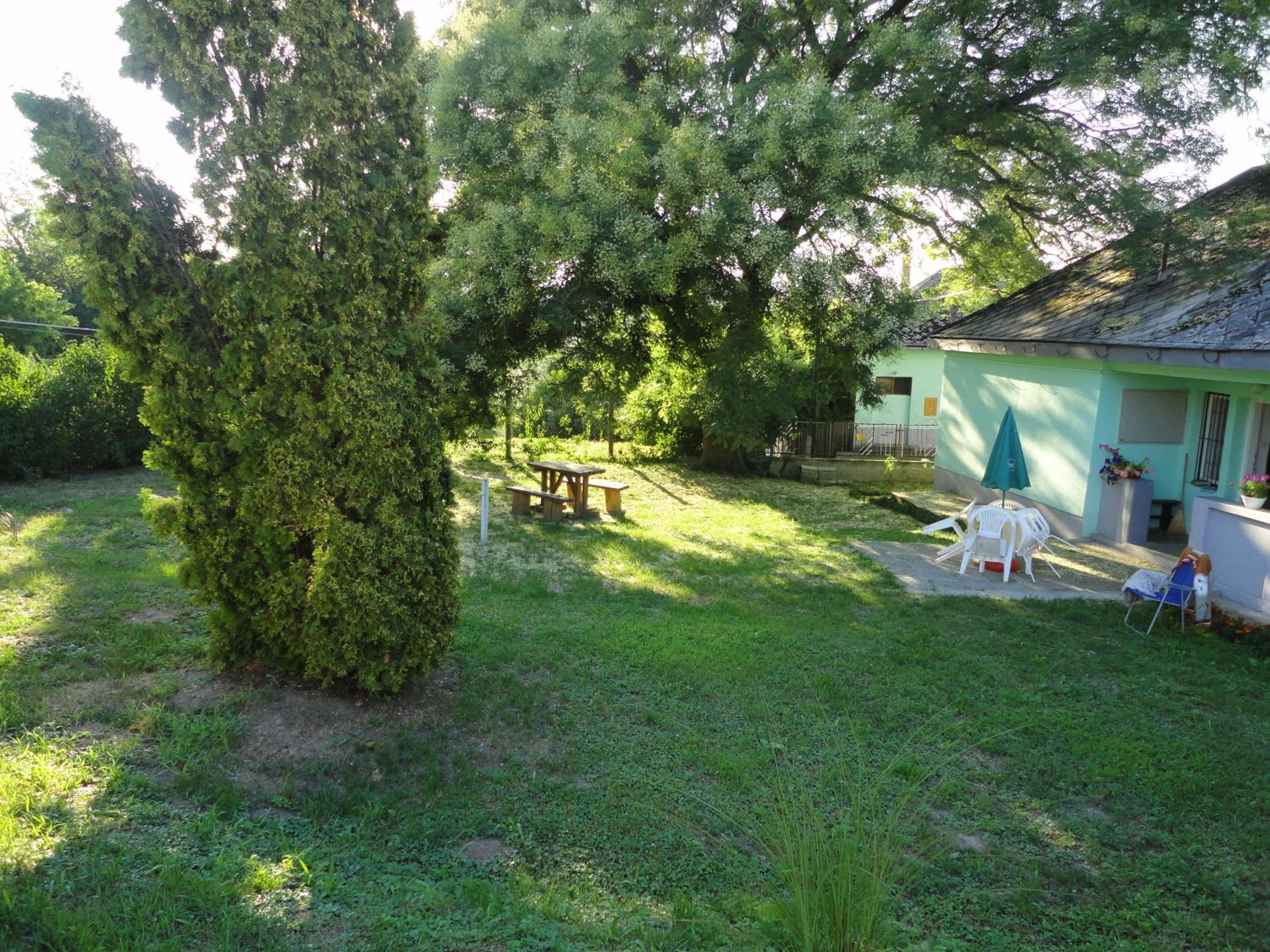 Photo 44