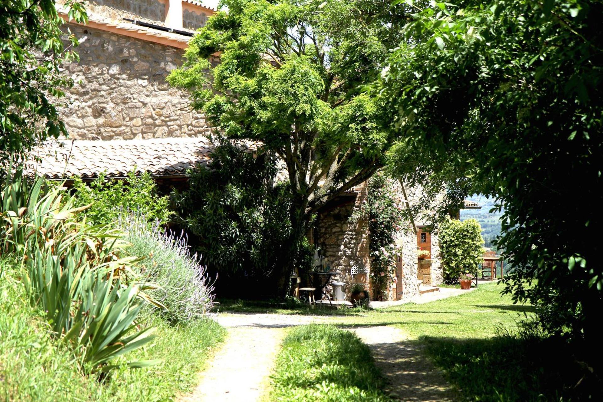 Podere Porcino view 5