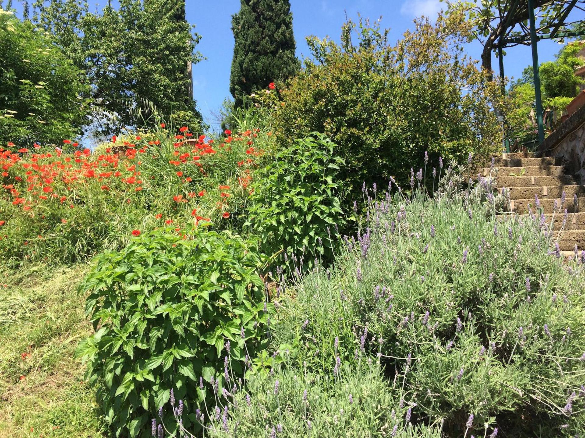 Photo 22