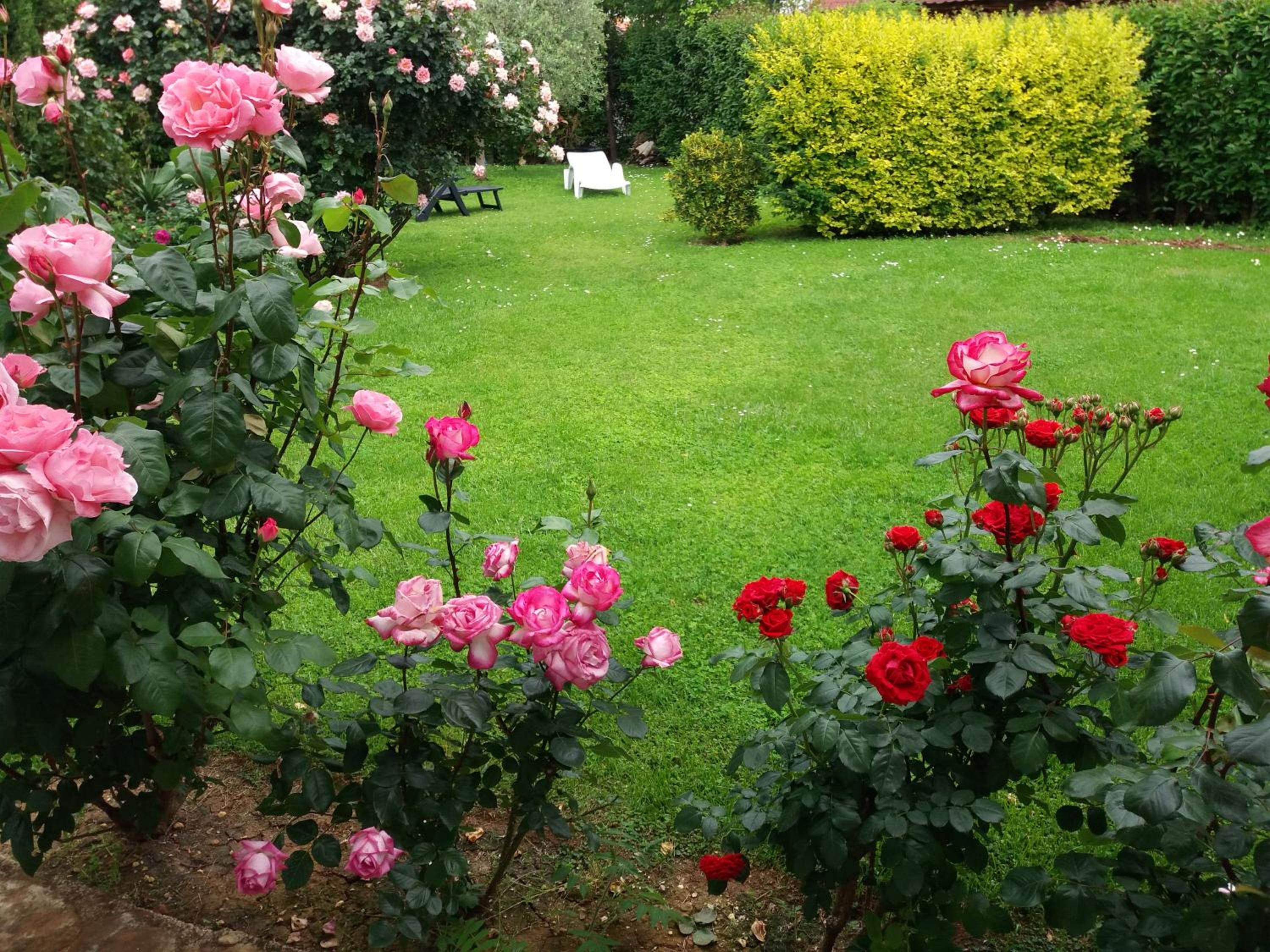 Photo 28