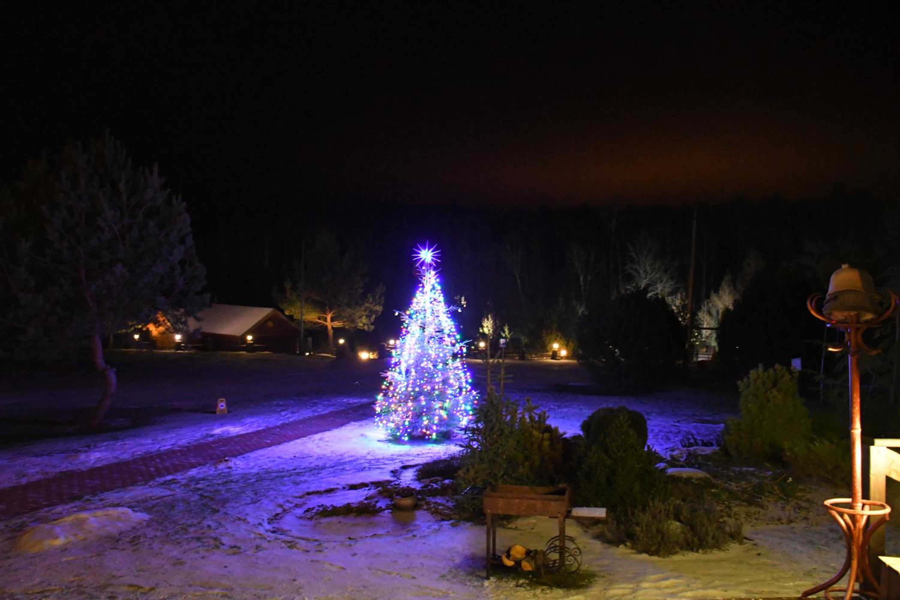 Photo 6