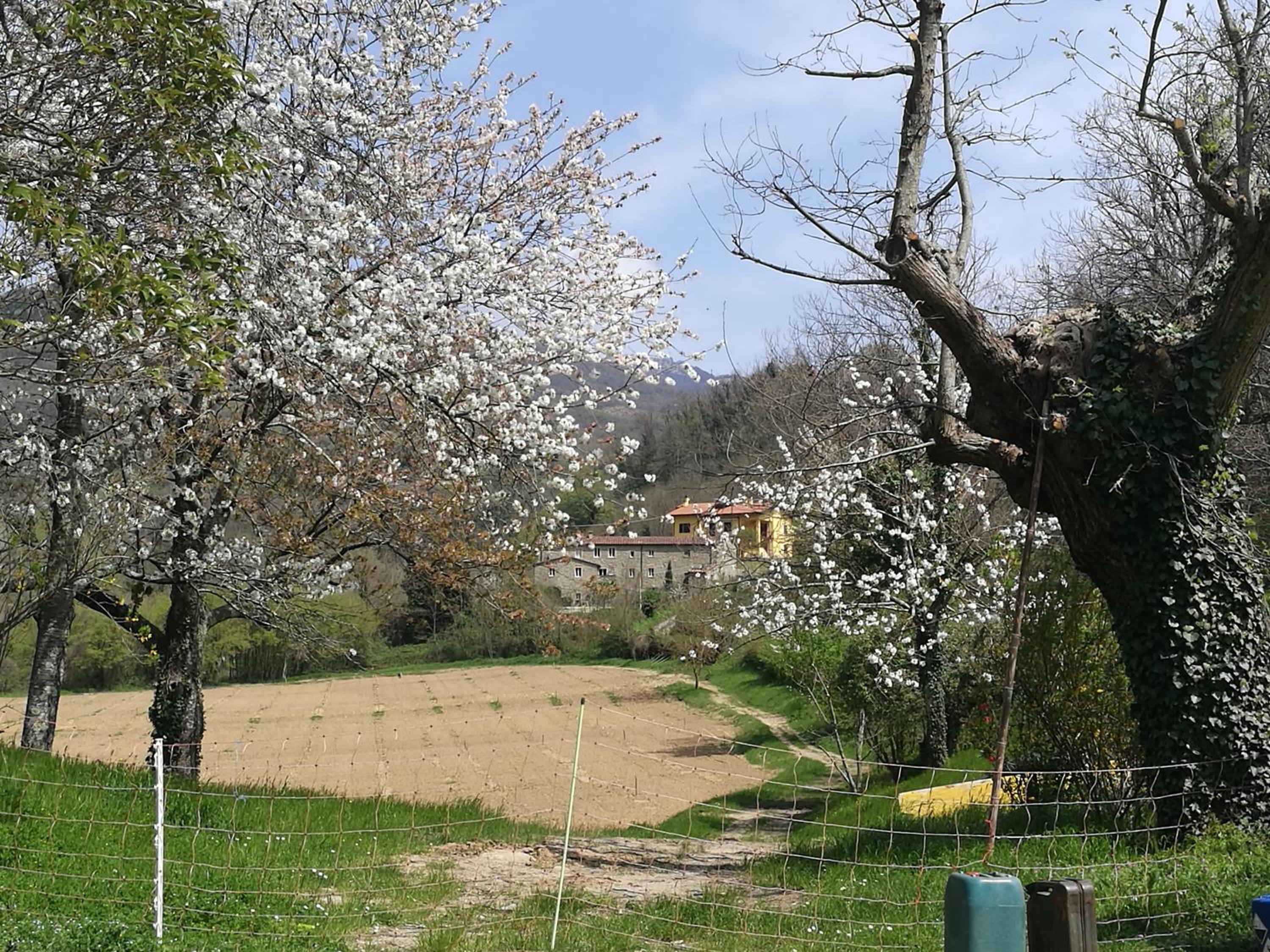 Photo 41