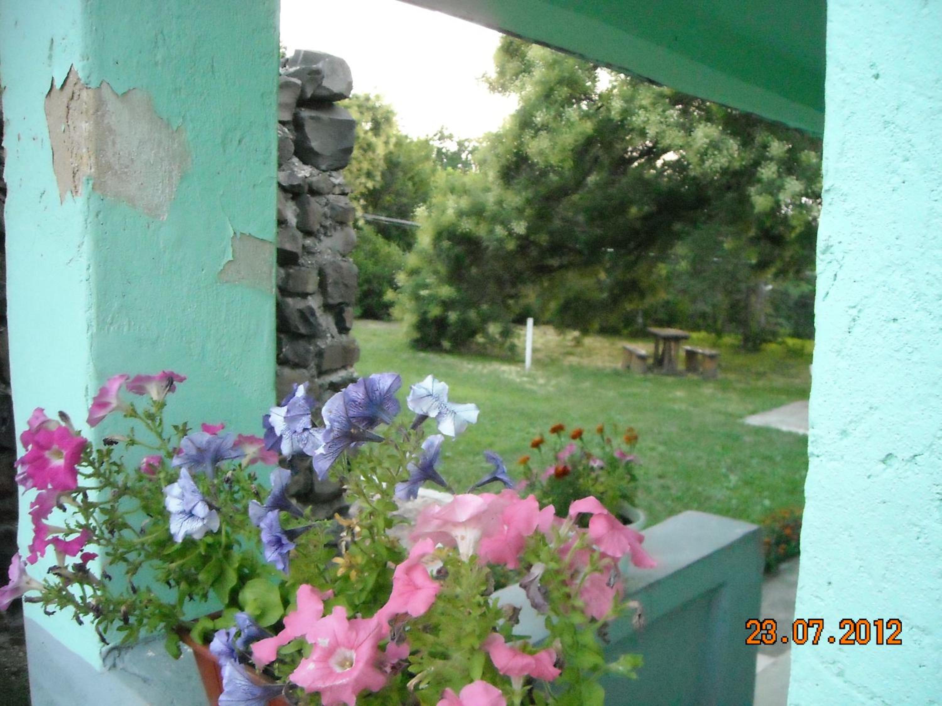 Photo 29