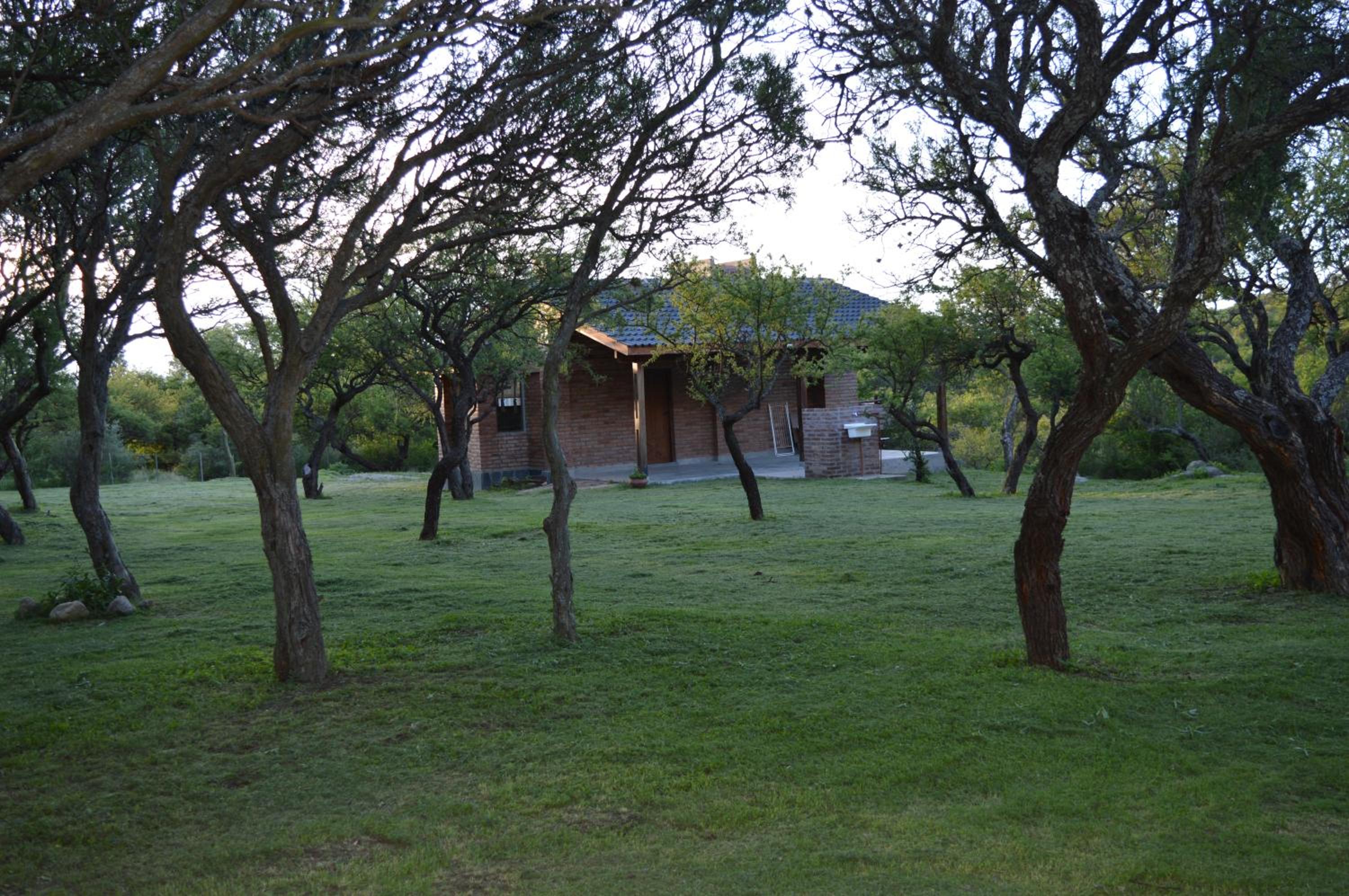 Complejo Arlington Village