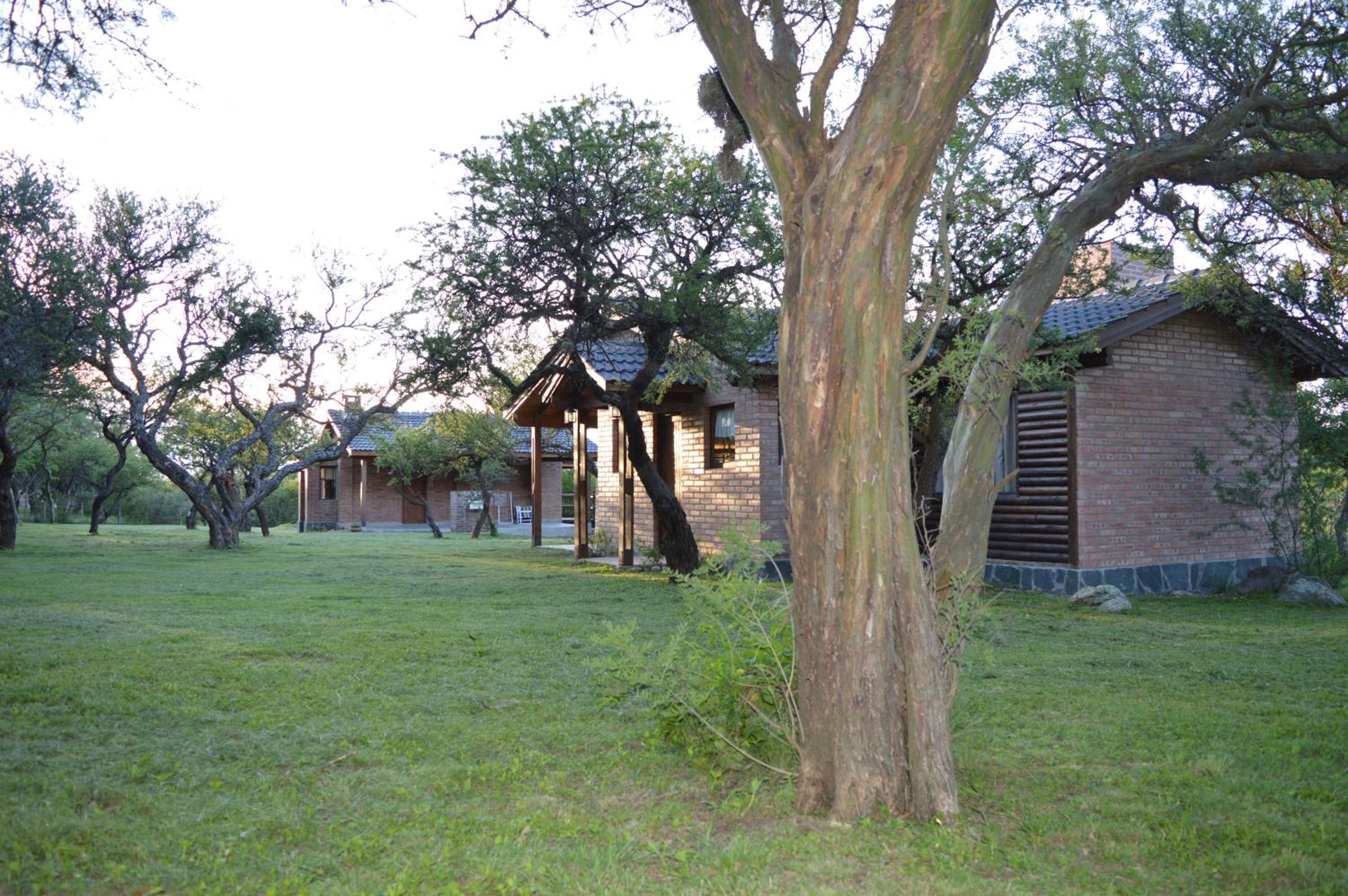 Complejo Arlington Village