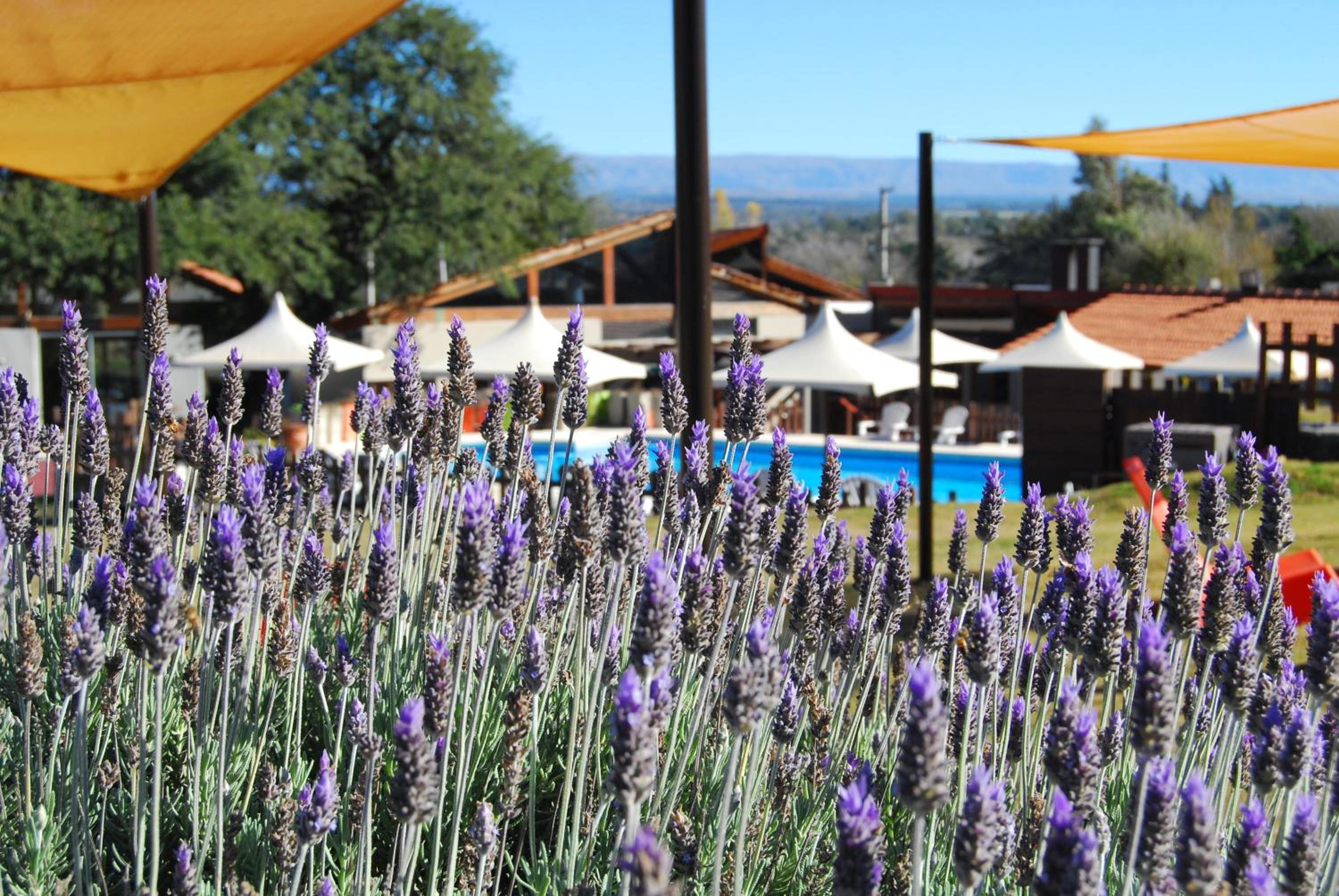 Cabañas Loma Azul