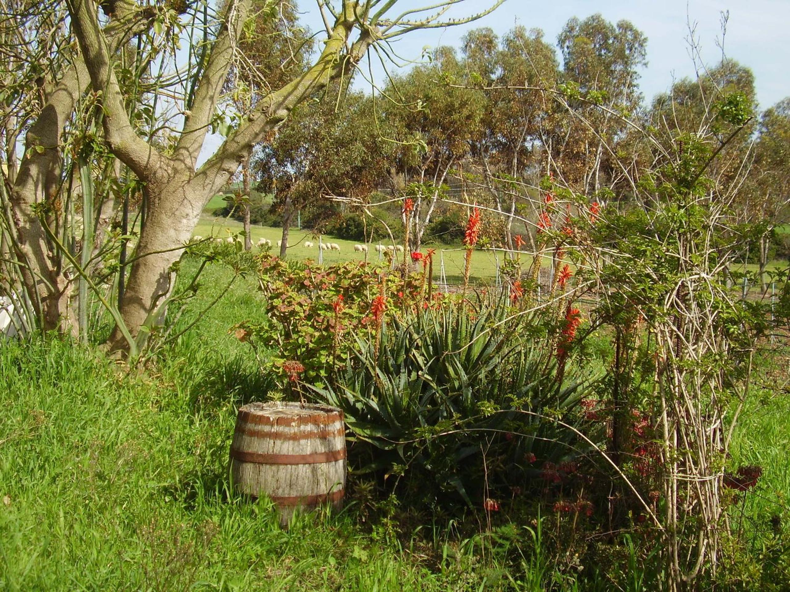 Agriturismo Cuile de Molino