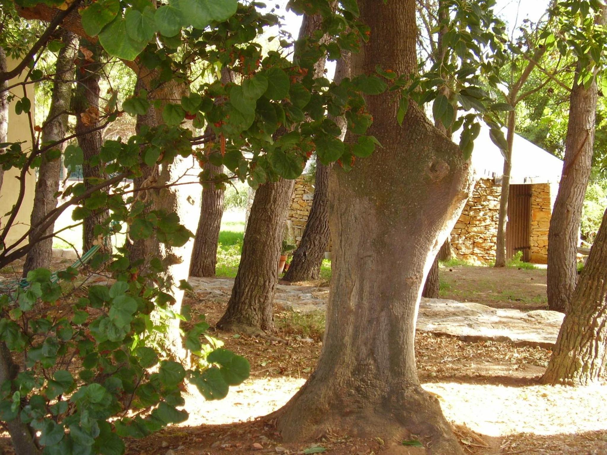 Agriturismo Cuile de Molino