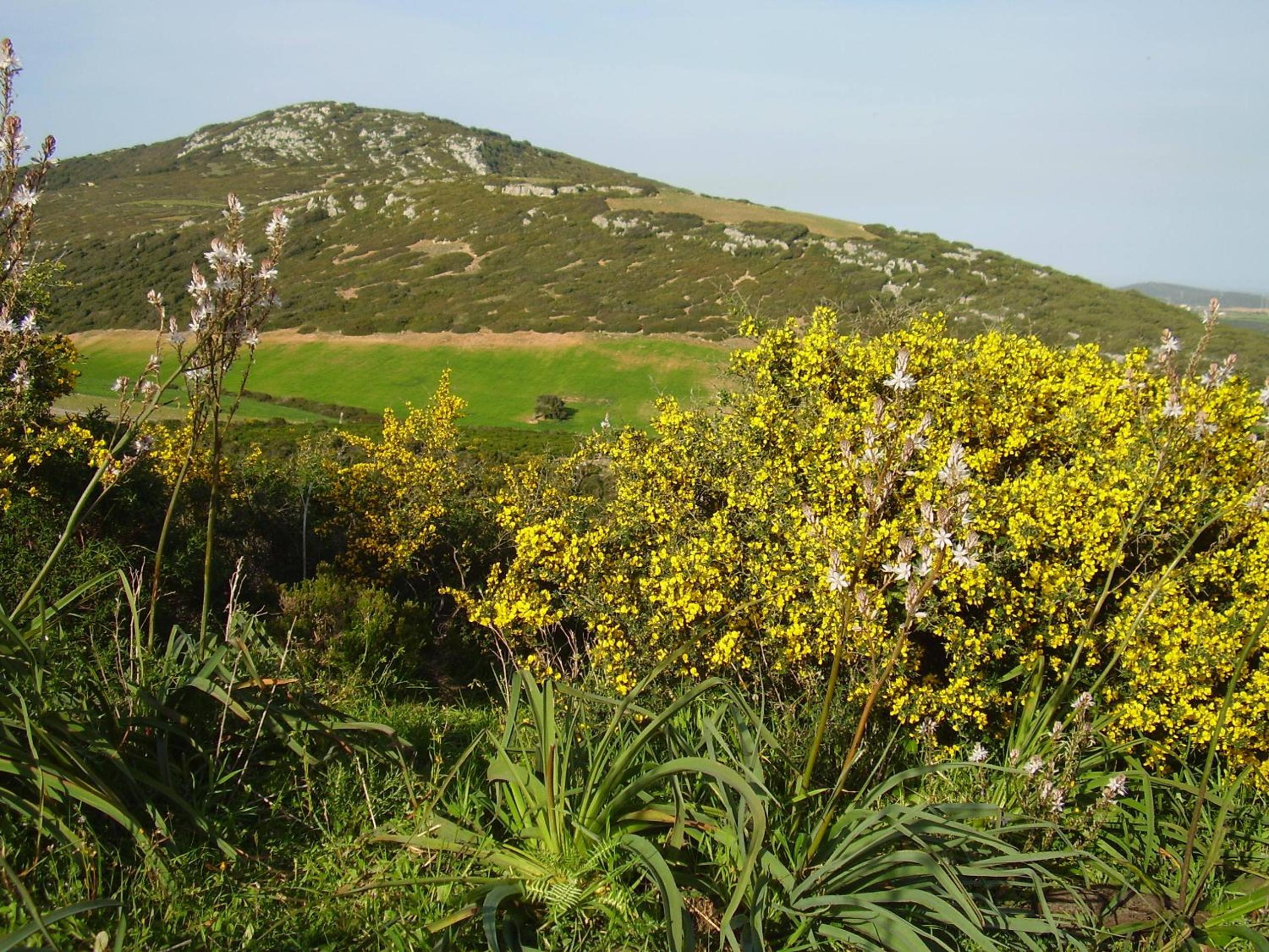 Agriturismo Cuile de Molino