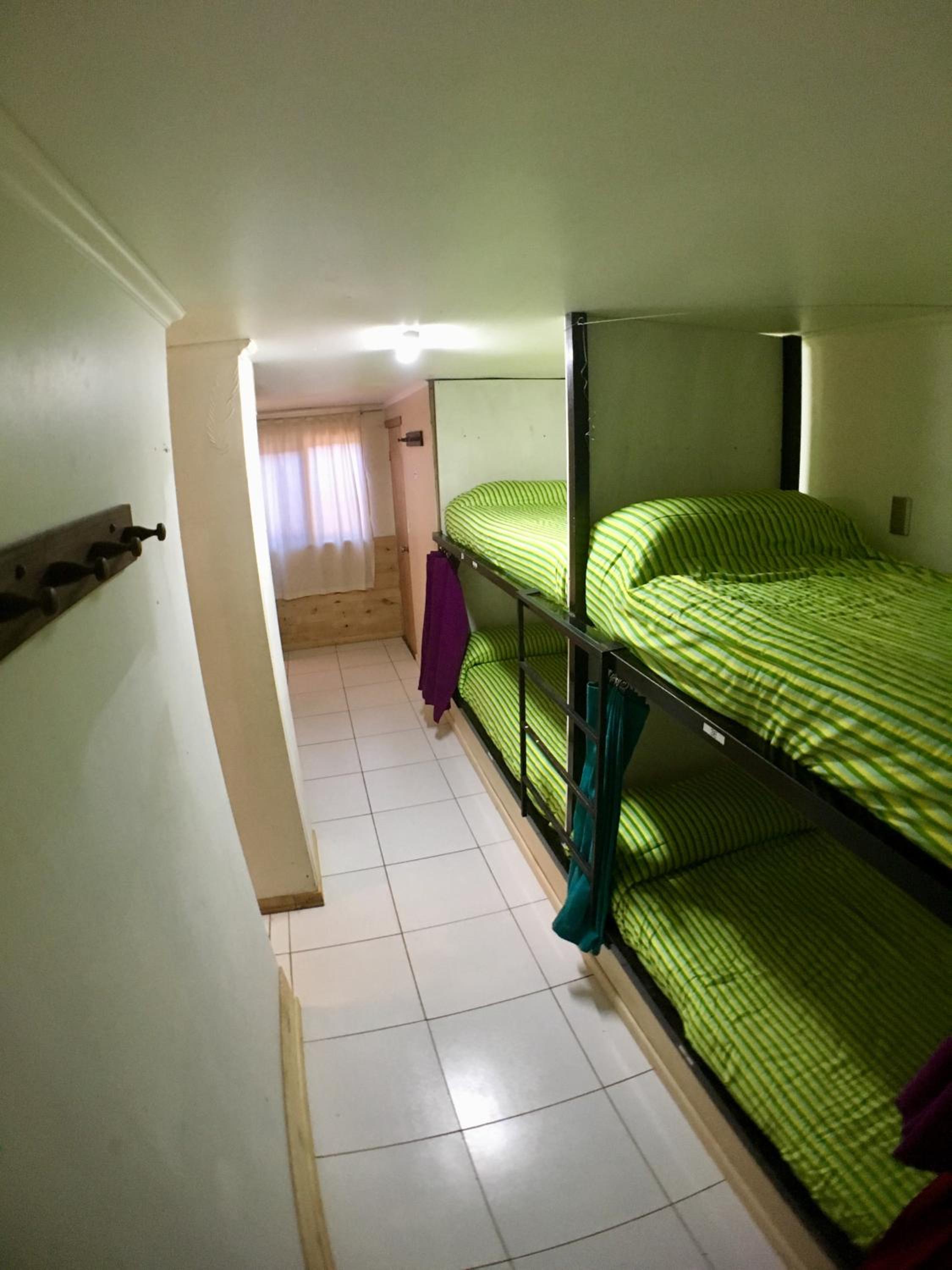 Gecko Hostel, photo 45