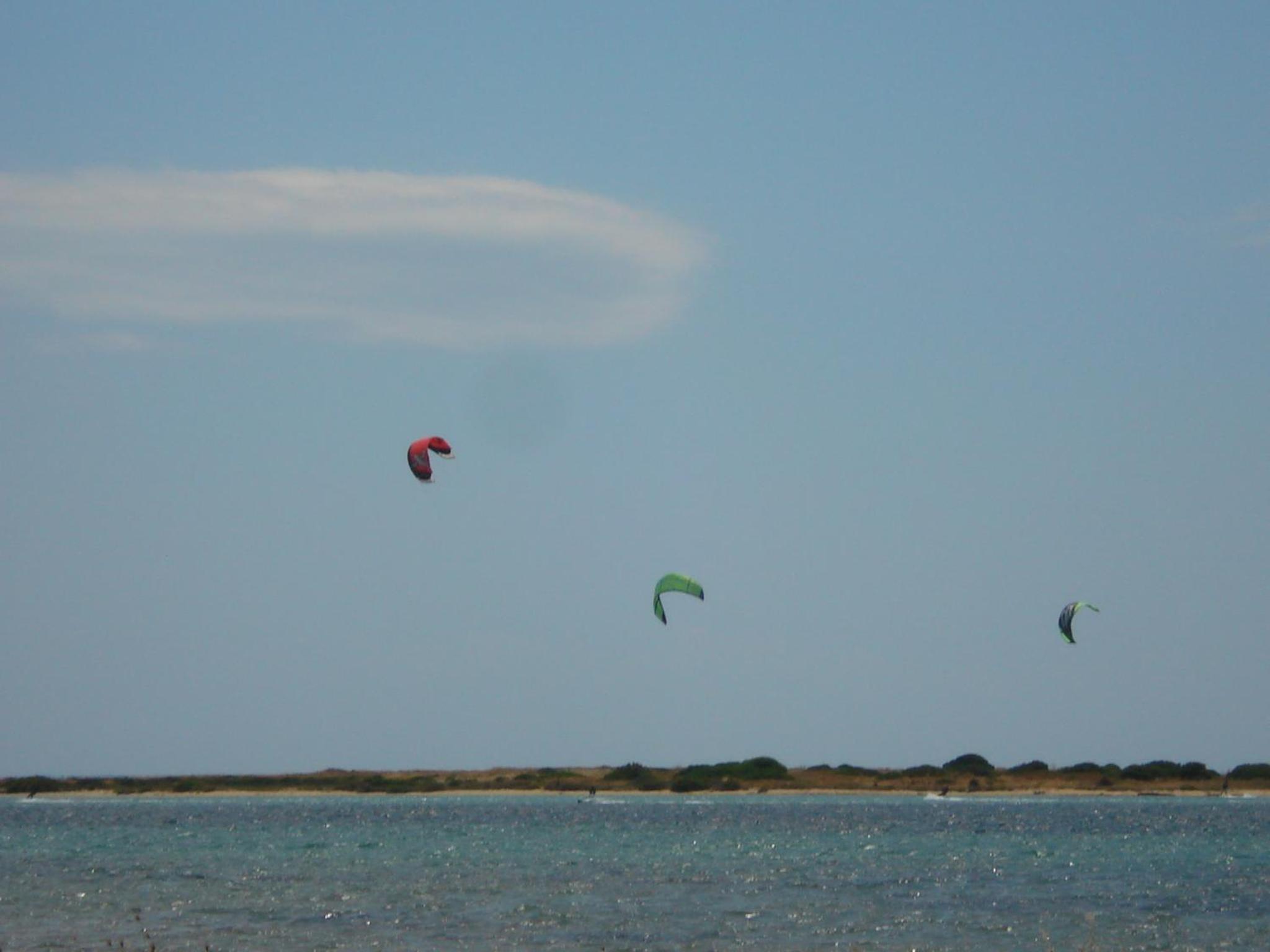 Photo 42