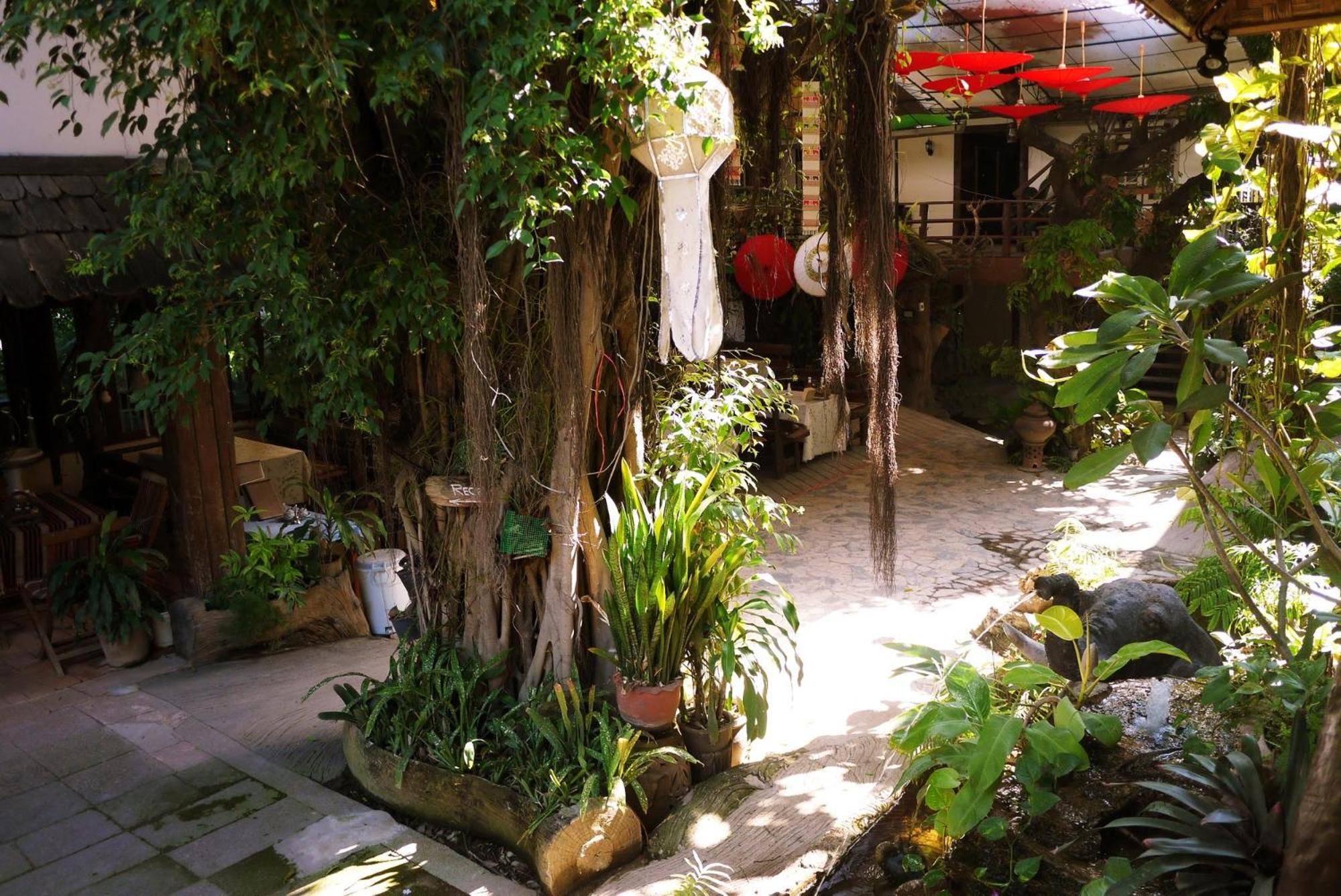 Mountain View GuesthouseChiangmai