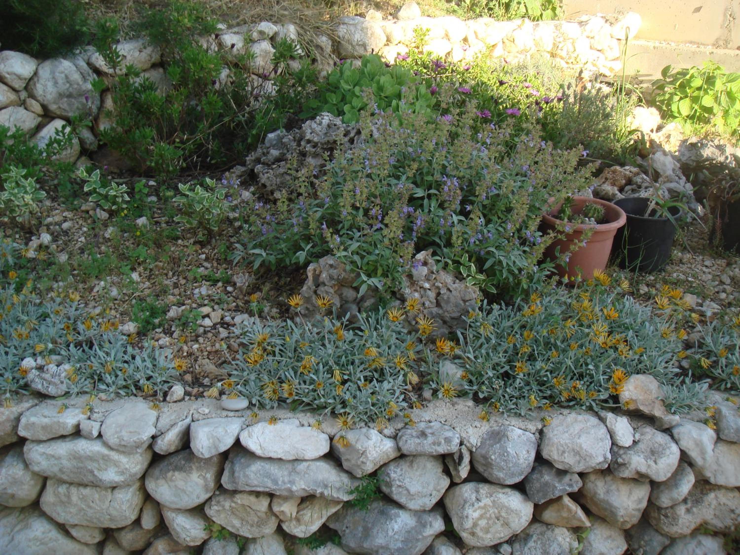 Photo 36