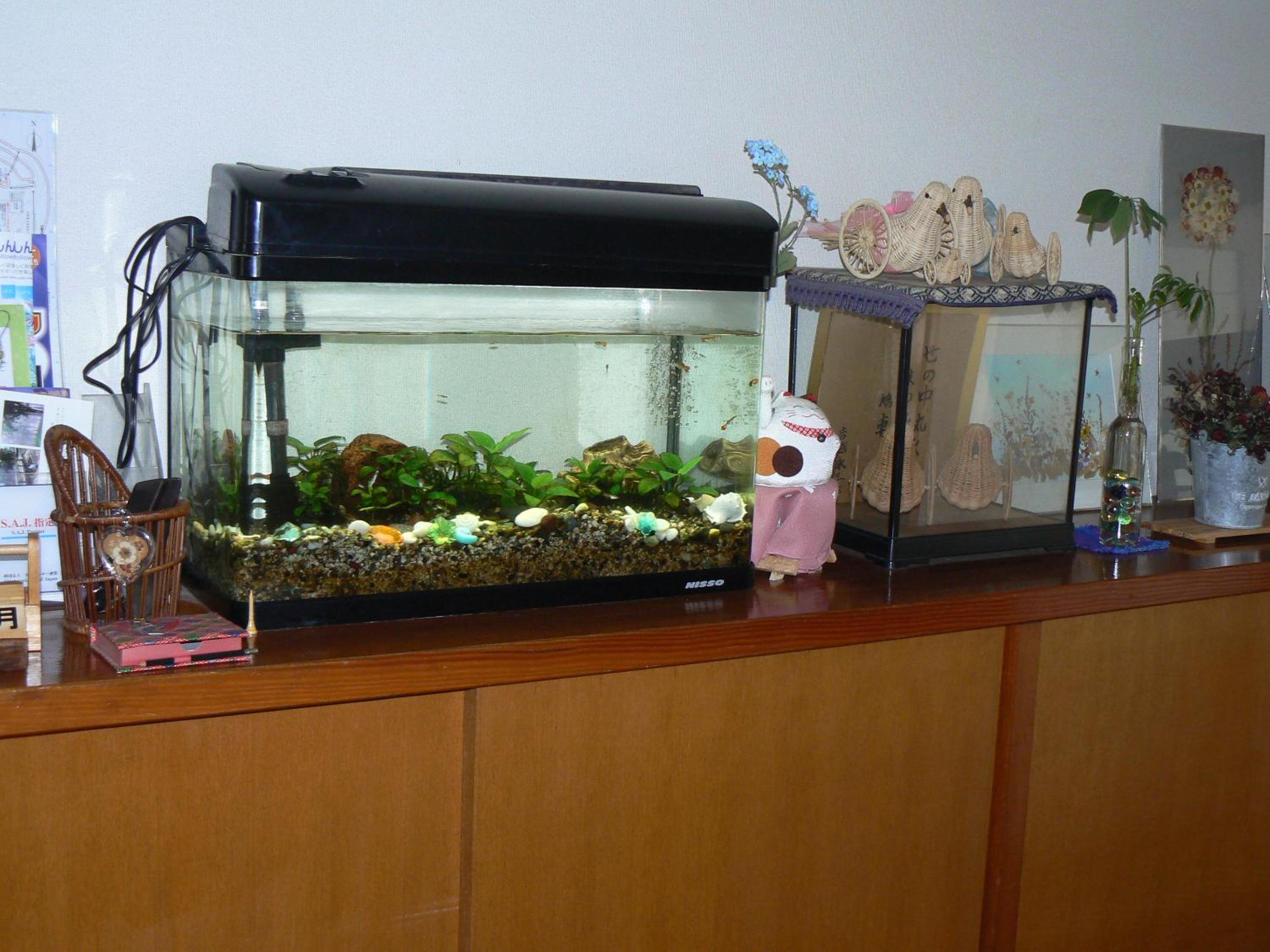 Photo 46