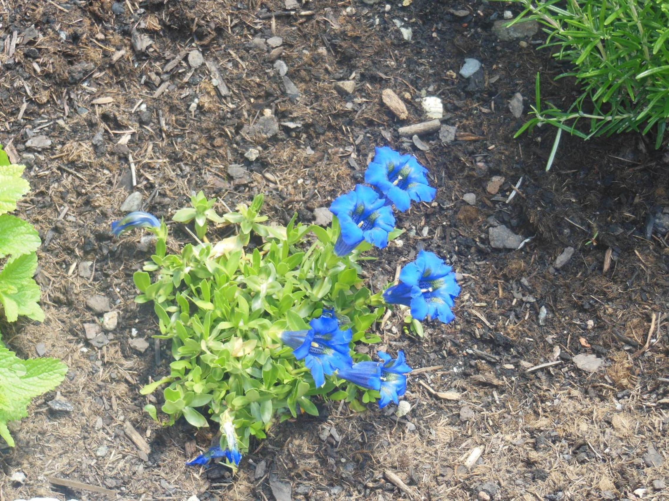 Photo 26