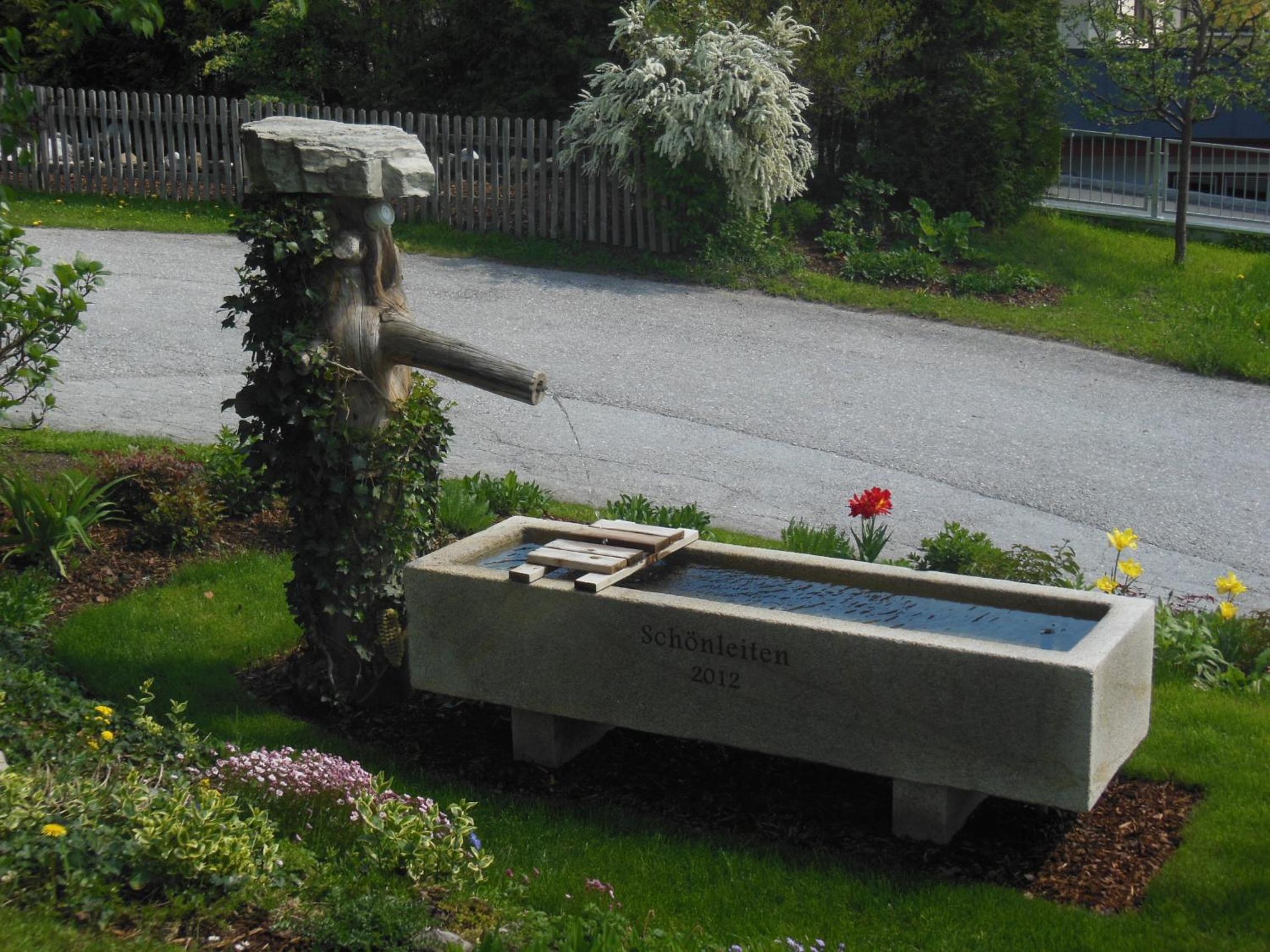 Photo 12