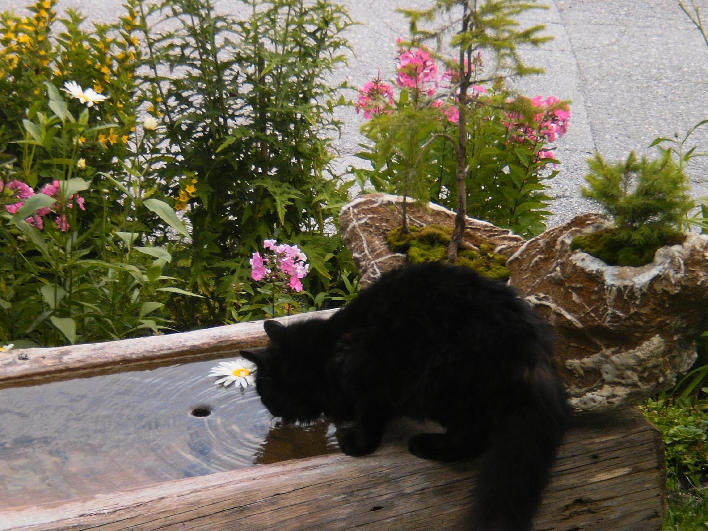 Photo 27