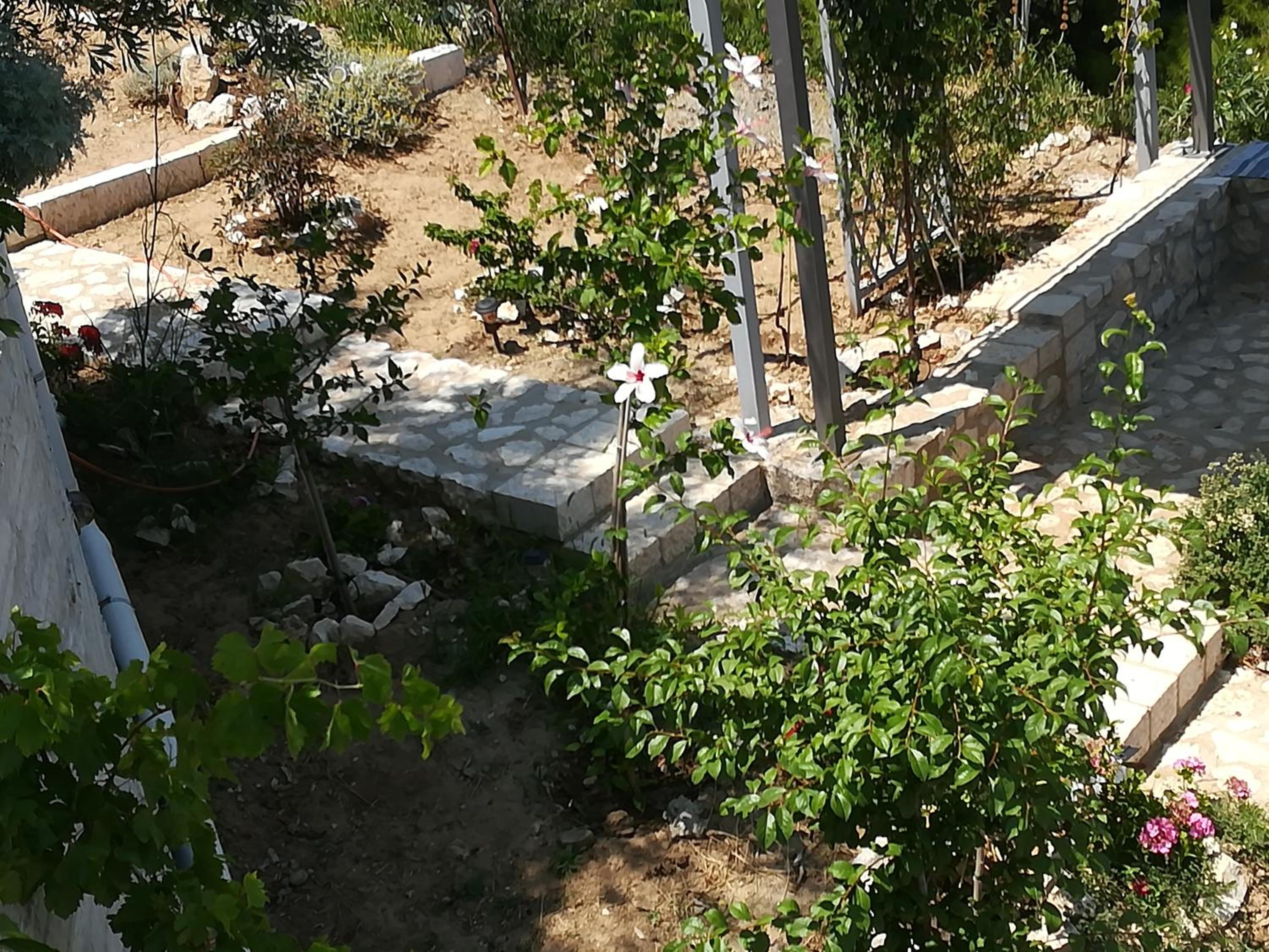 Photo 46