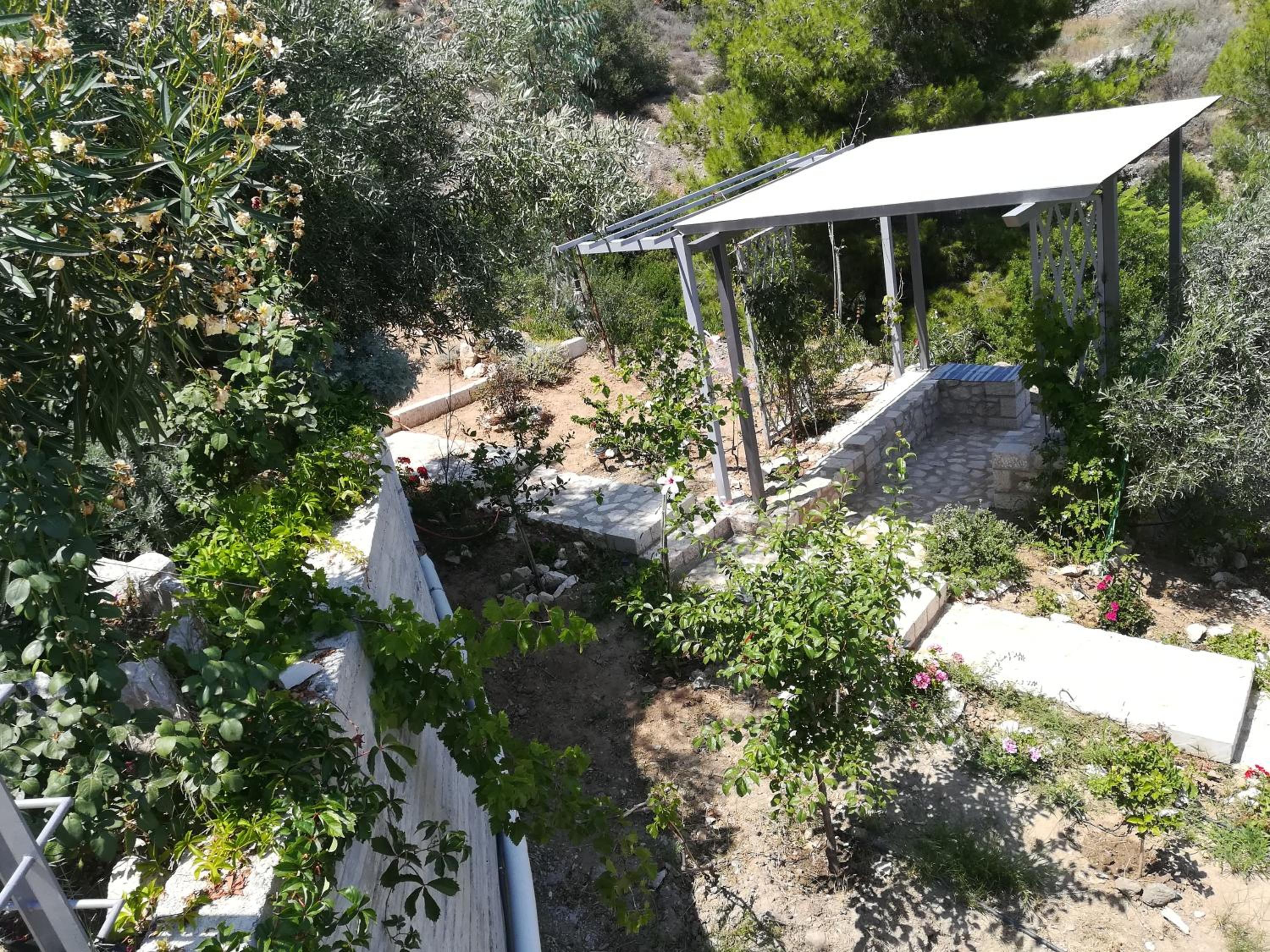 Photo 40