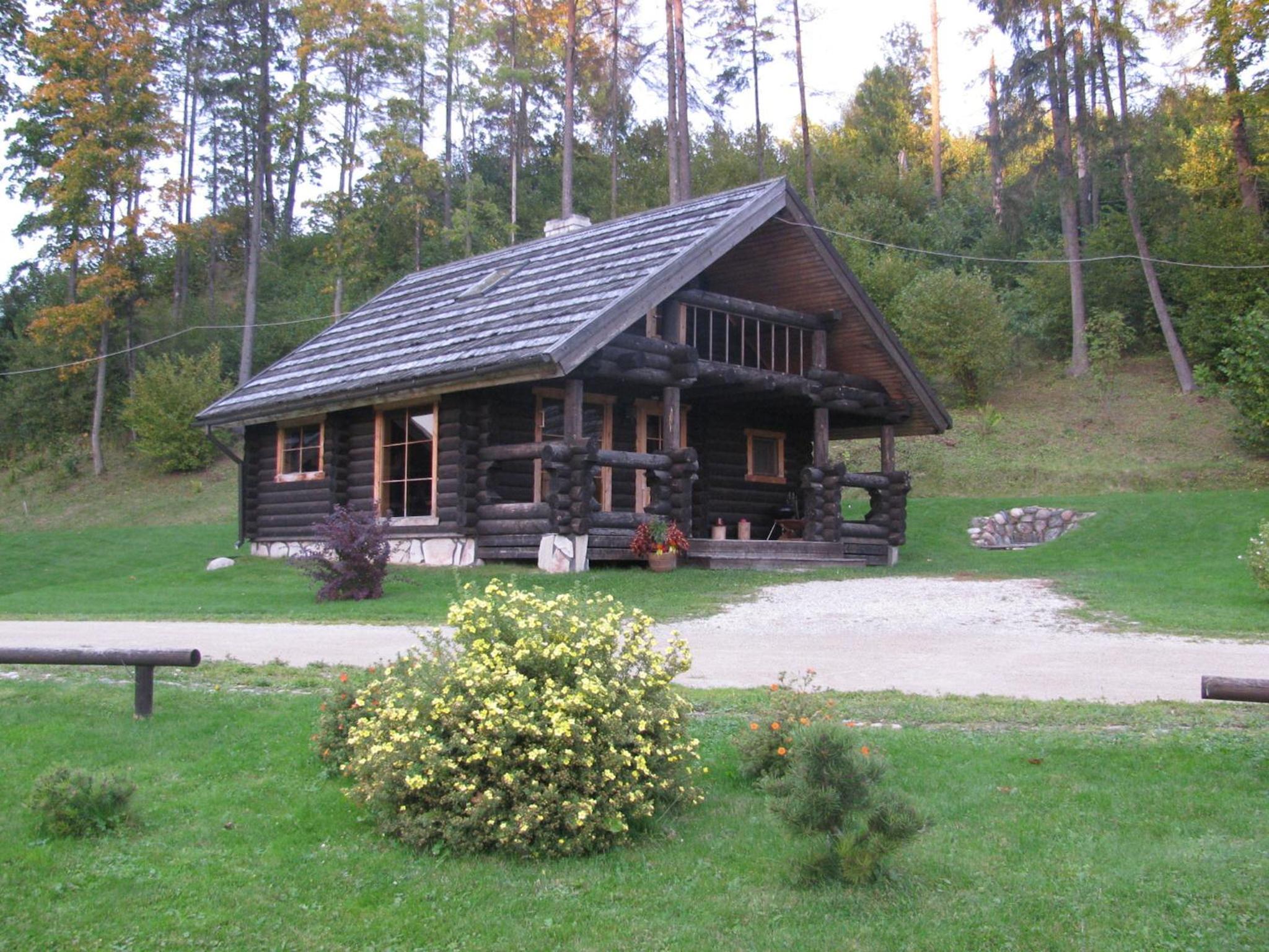 Photo 19