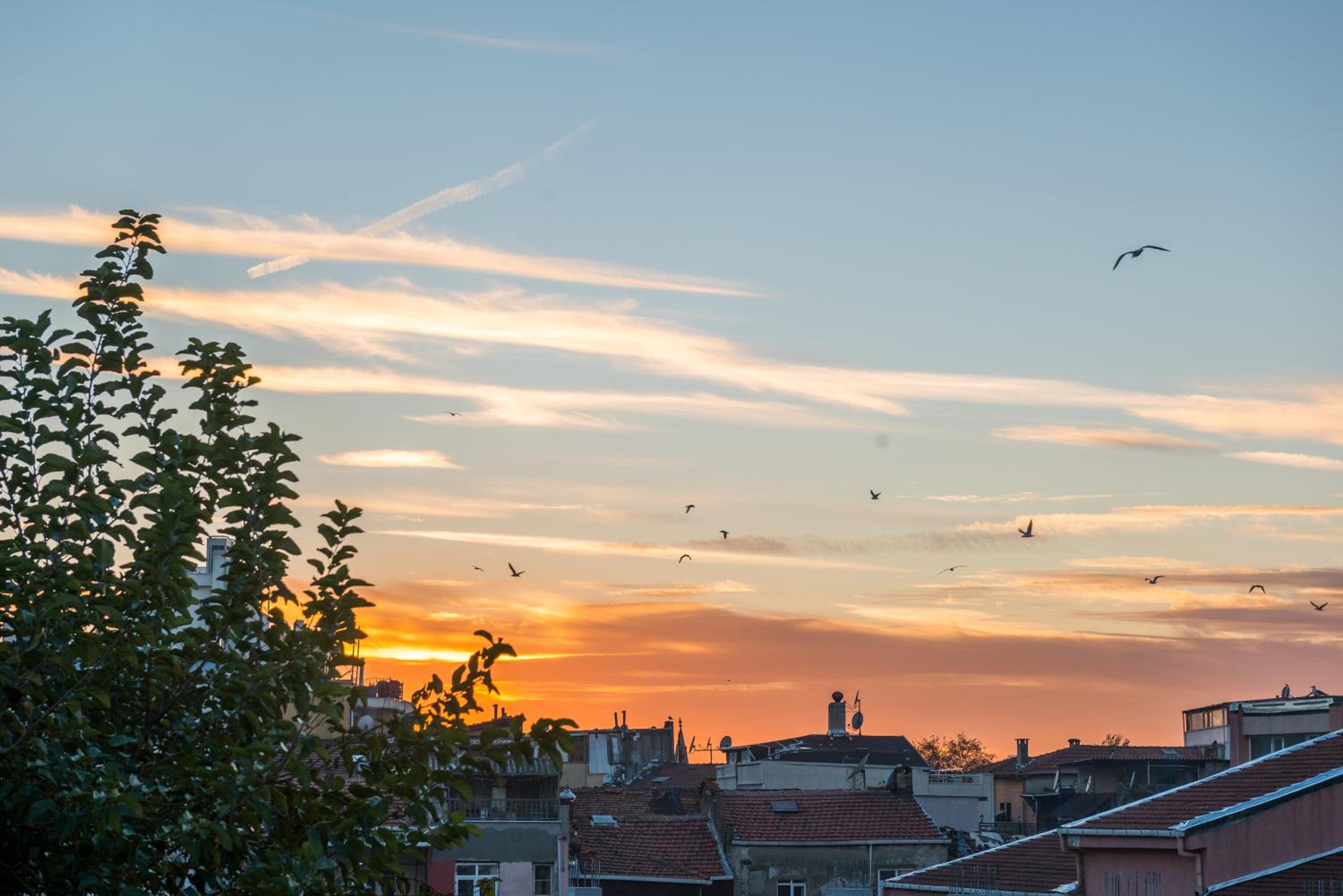 Bright Apart Hotel - Image 150