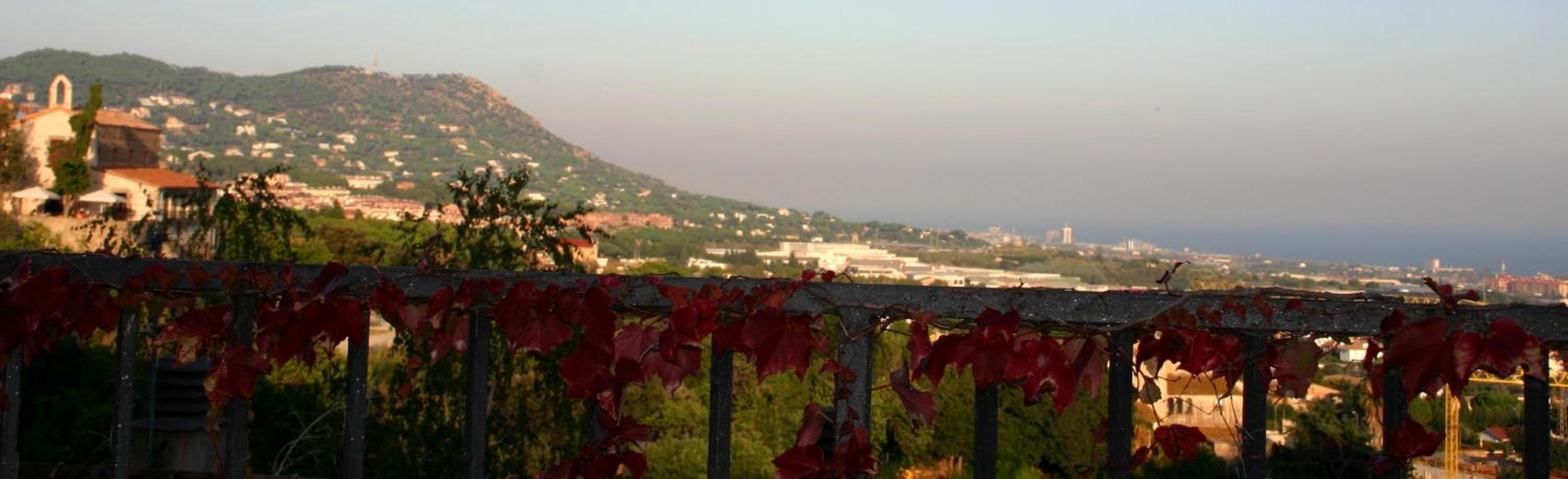 B&B Premium view 3