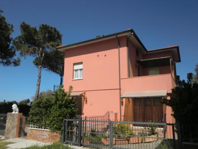 Photo 33