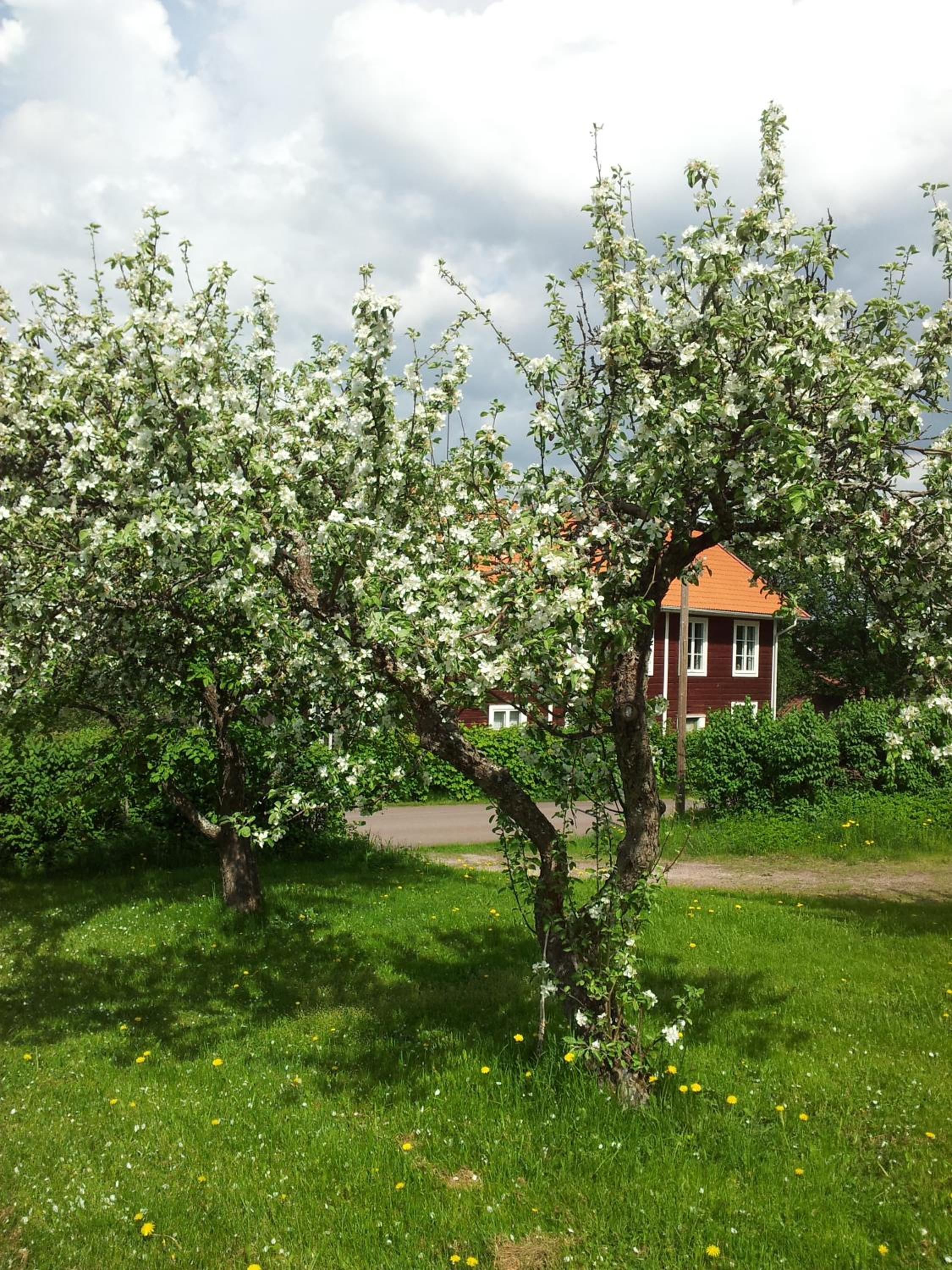 Utbygårdens Hostel