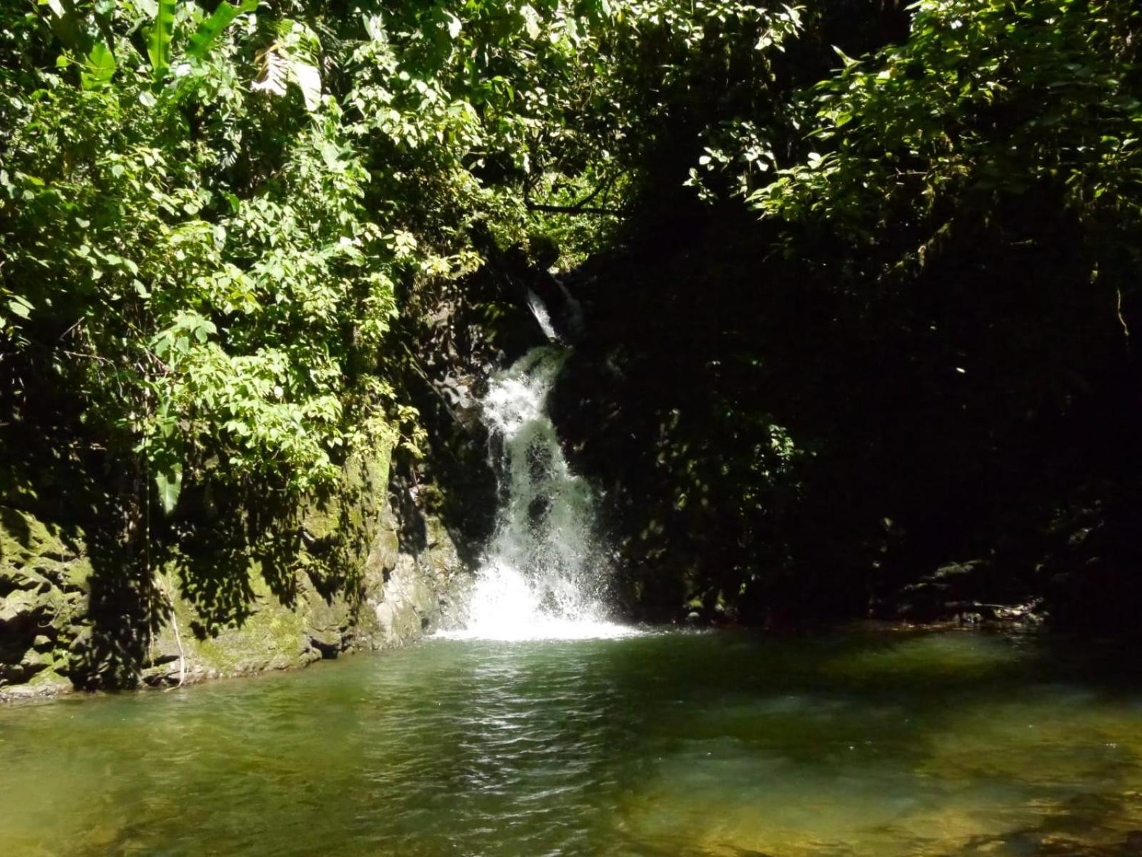 Pacuare River Lodge