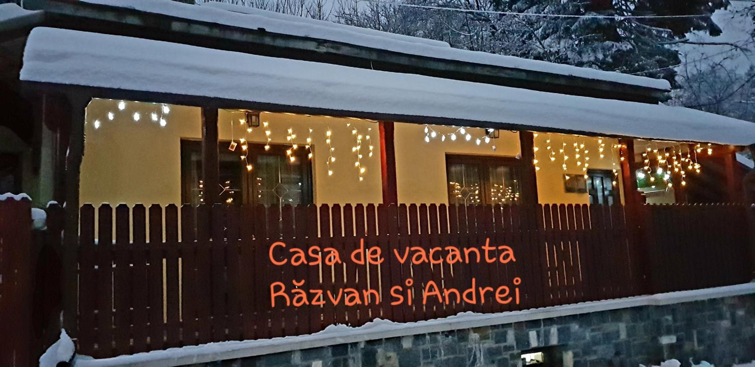 Casa de Vacanta Razvan si Andrei view 2