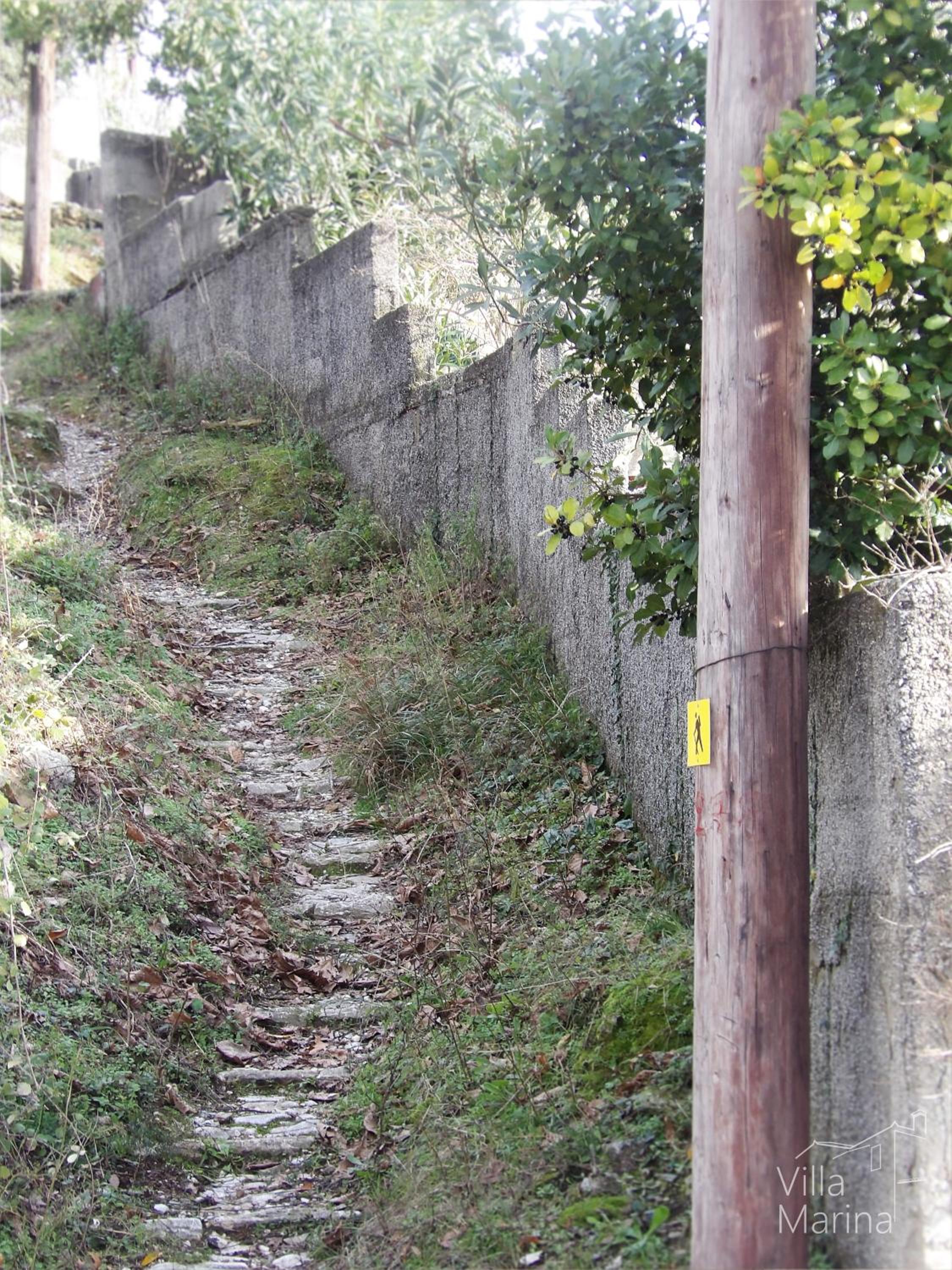 Photo 49