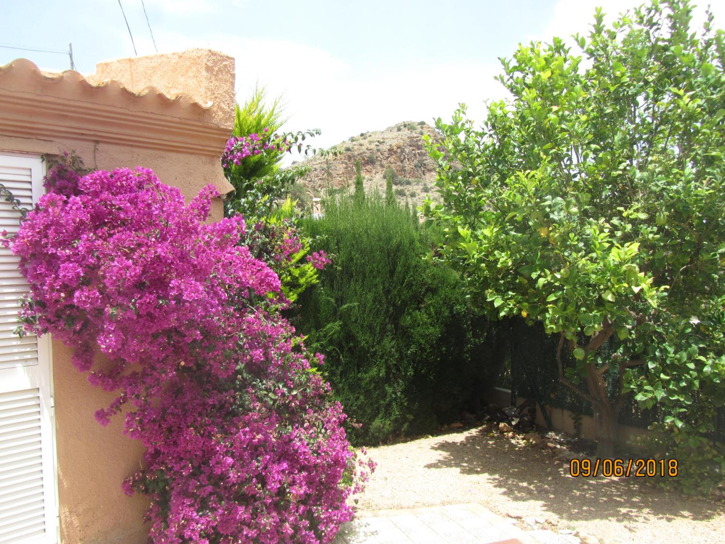 Photo 16
