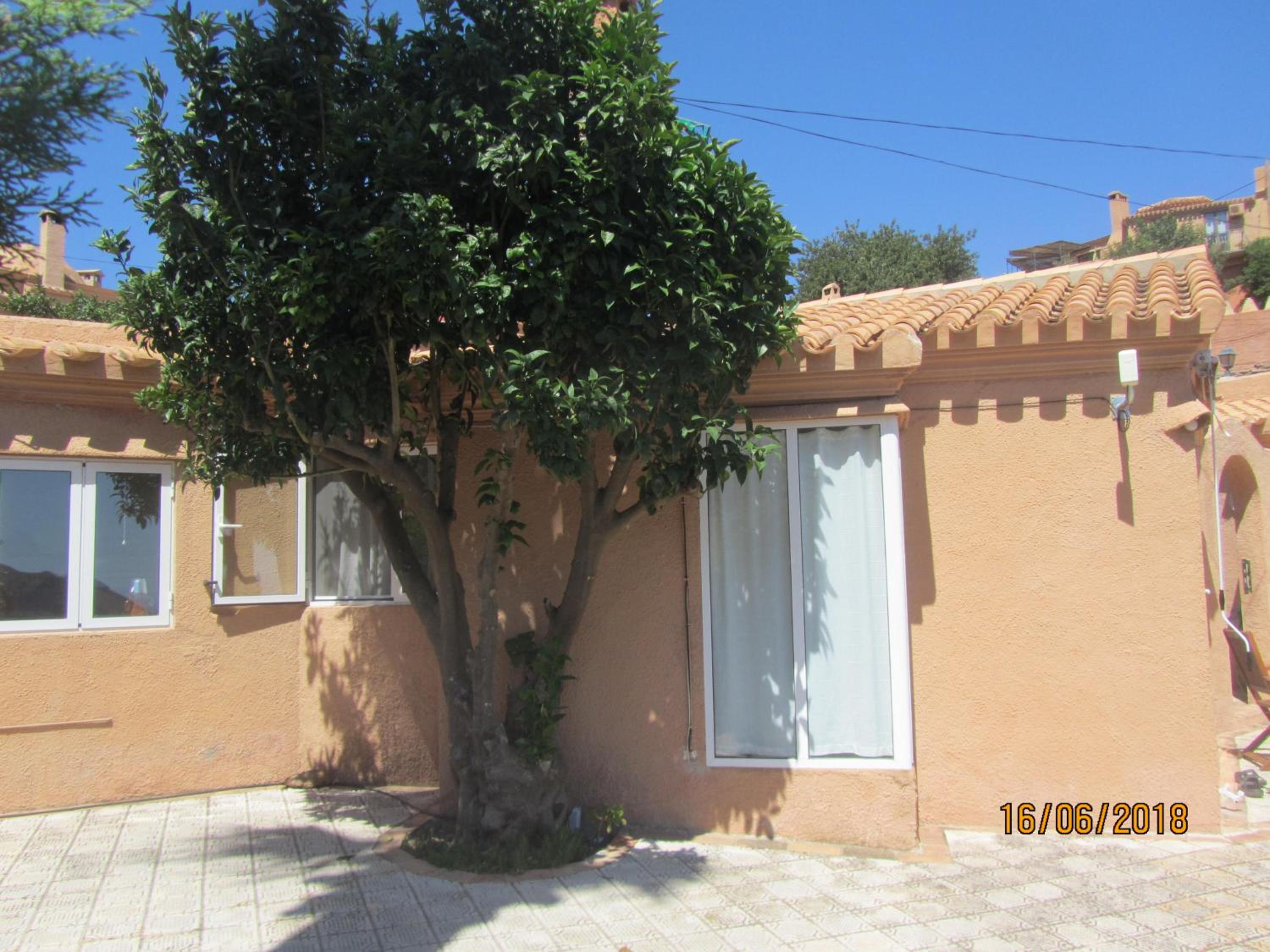 Photo 26