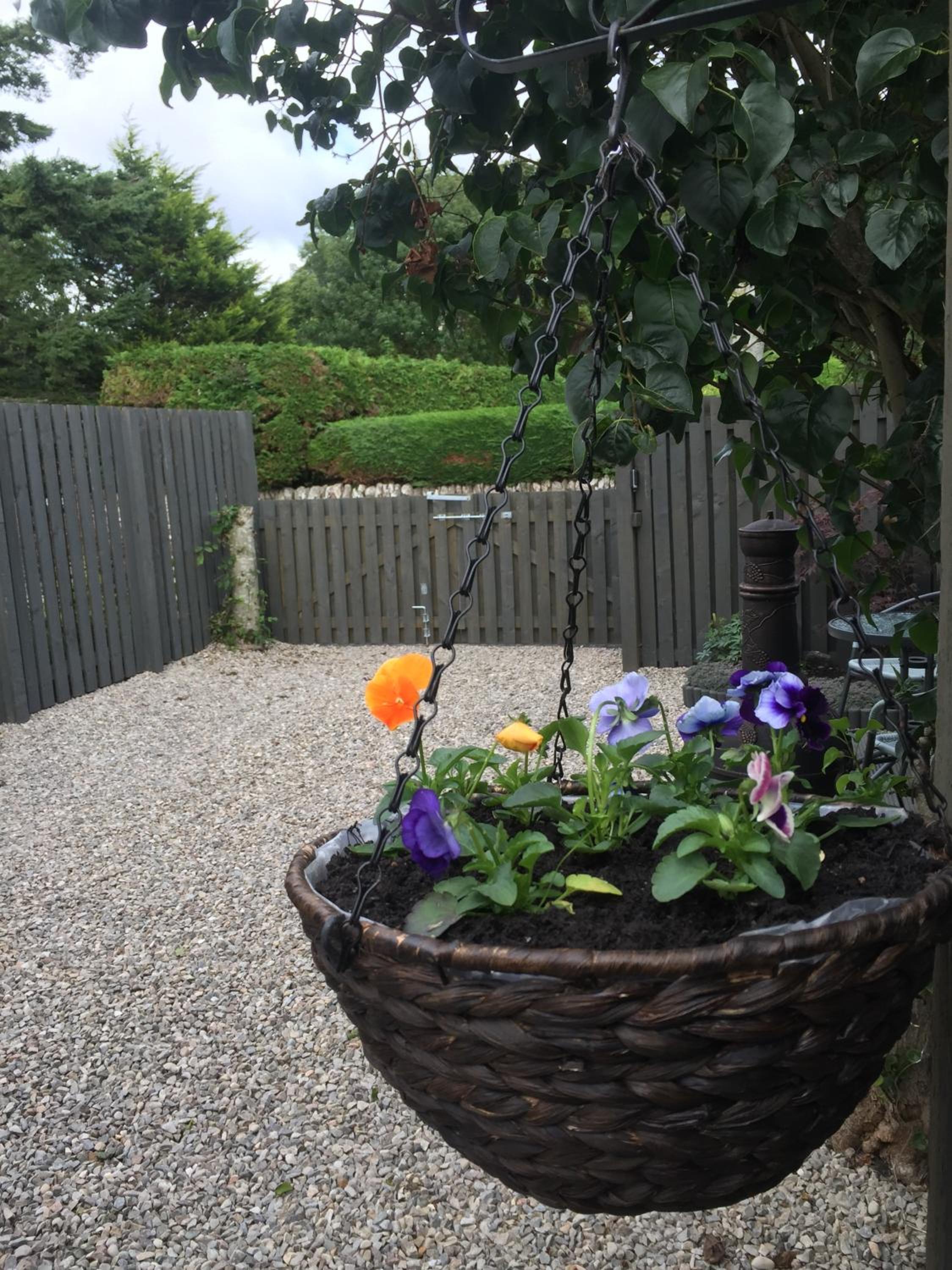 Foxy's Den Dornoch view 2