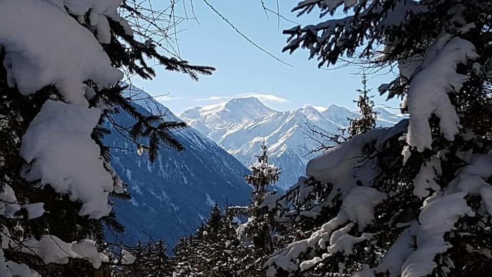 Haus Gamskogl view 5