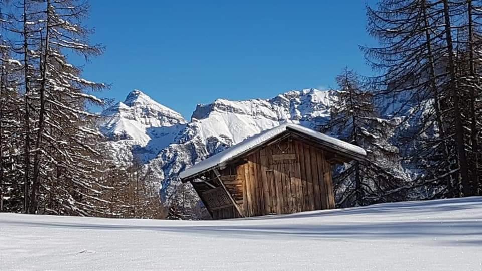 Haus Gamskogl view 2
