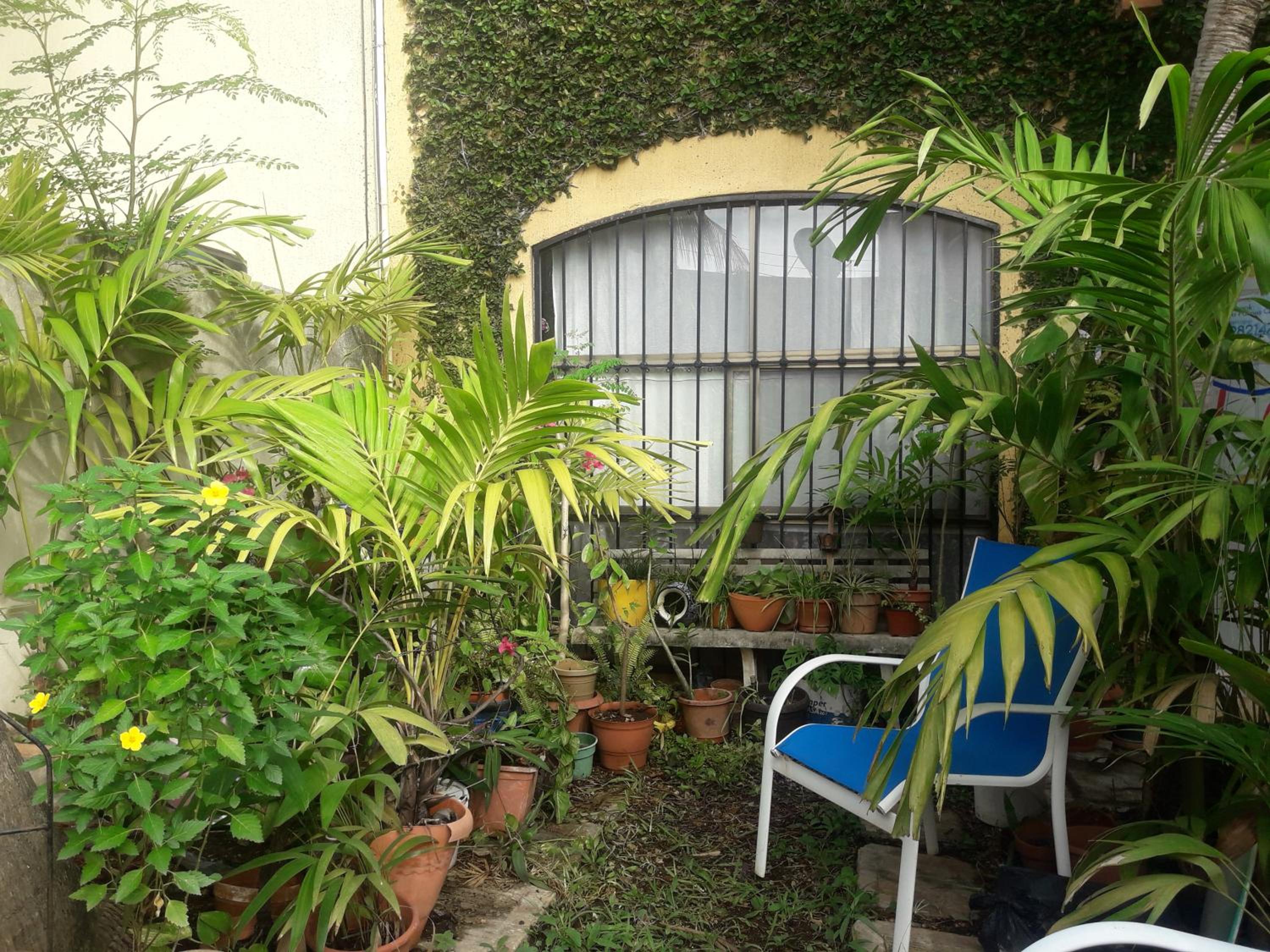 Casa Luz Verde