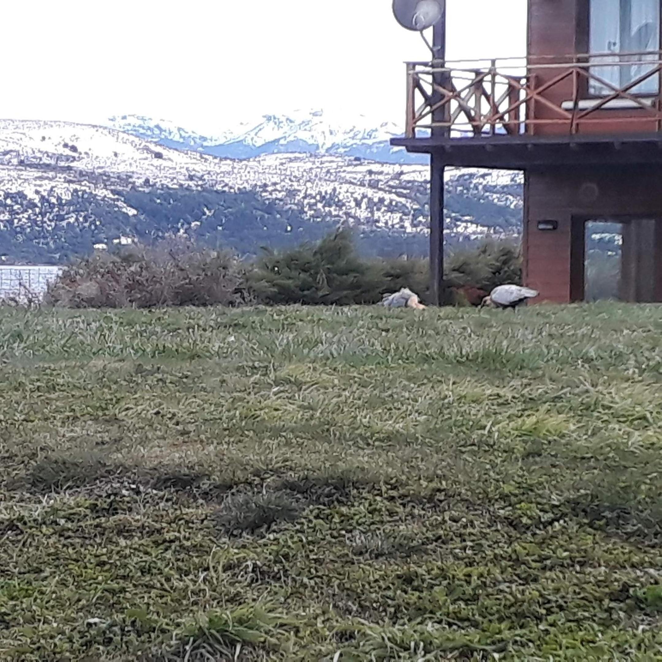 Departamento Dina Huapi Bariloche