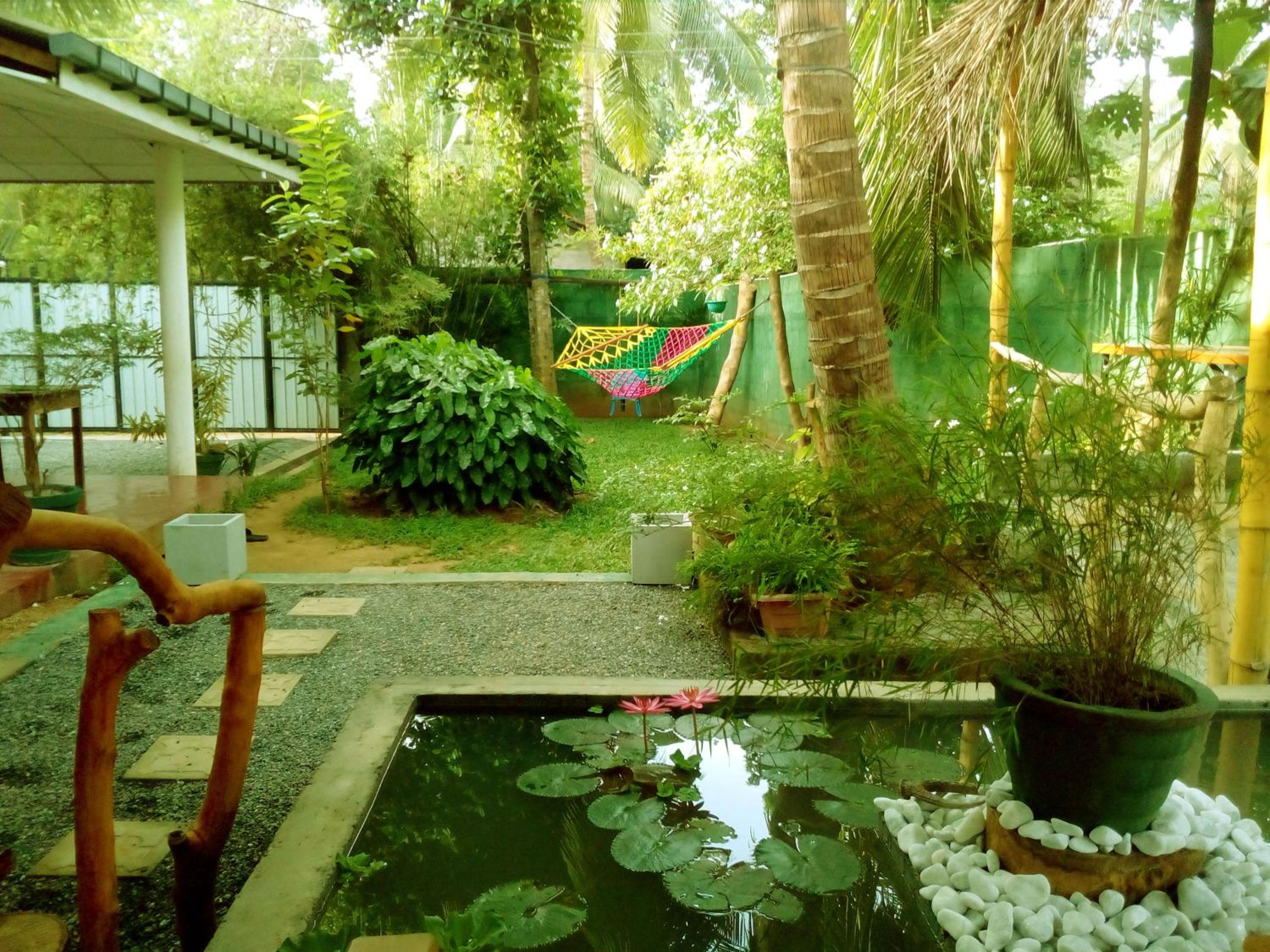 Nature lovers Safari resort view 5