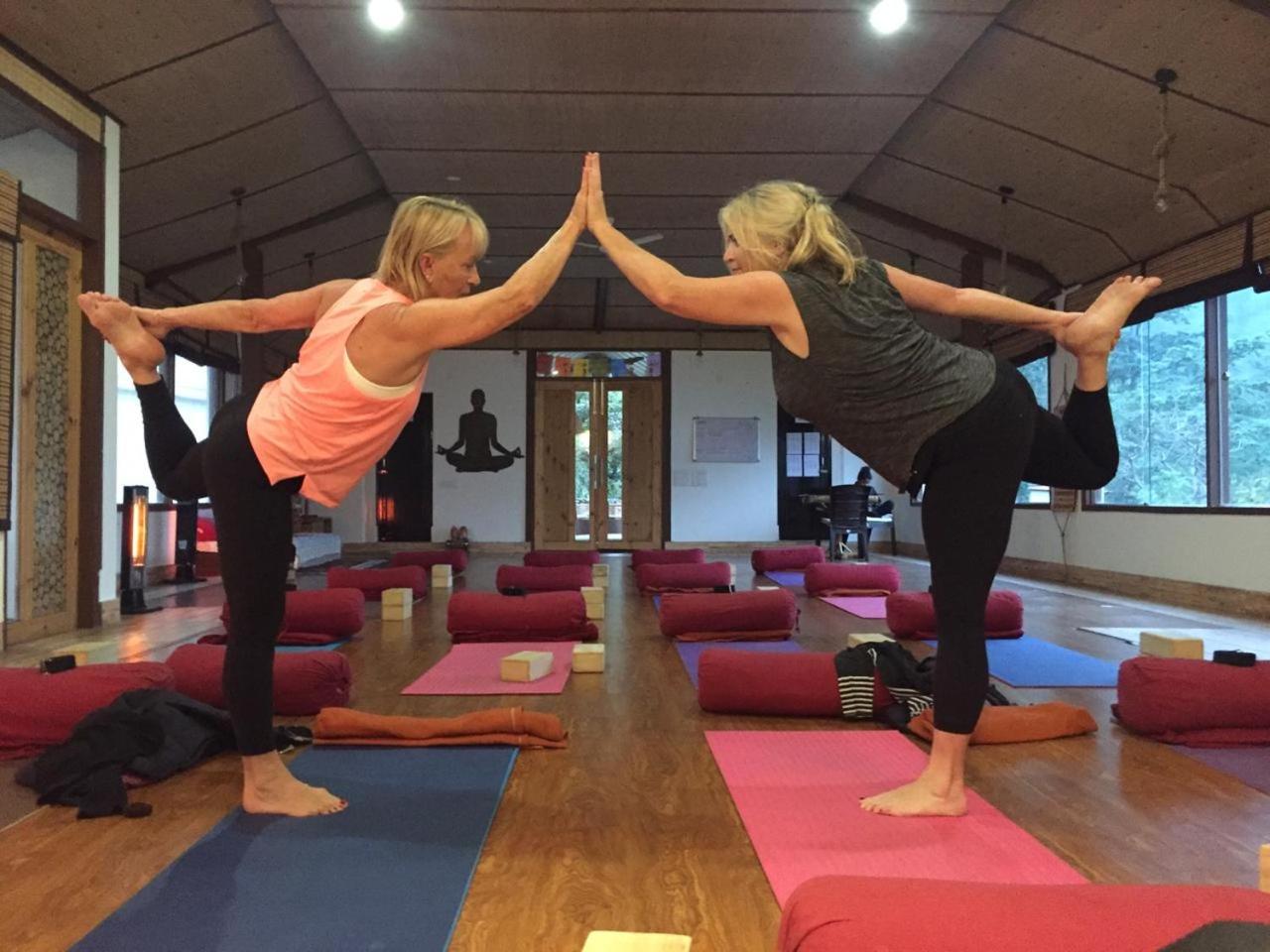 Veda5 Ayurveda & Yoga Retreat — photo 60