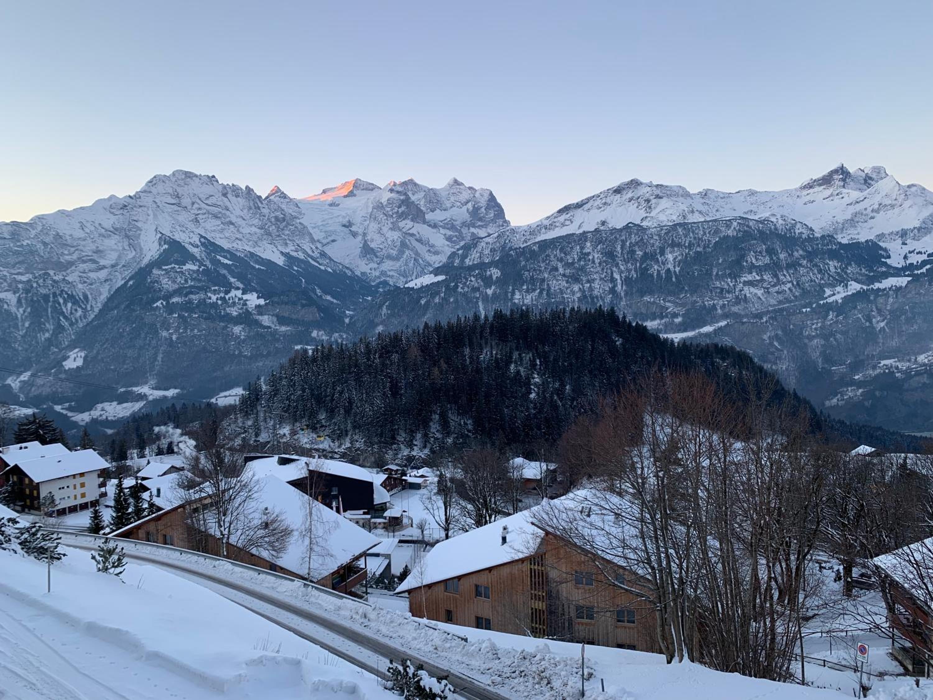 Chalet Orchis