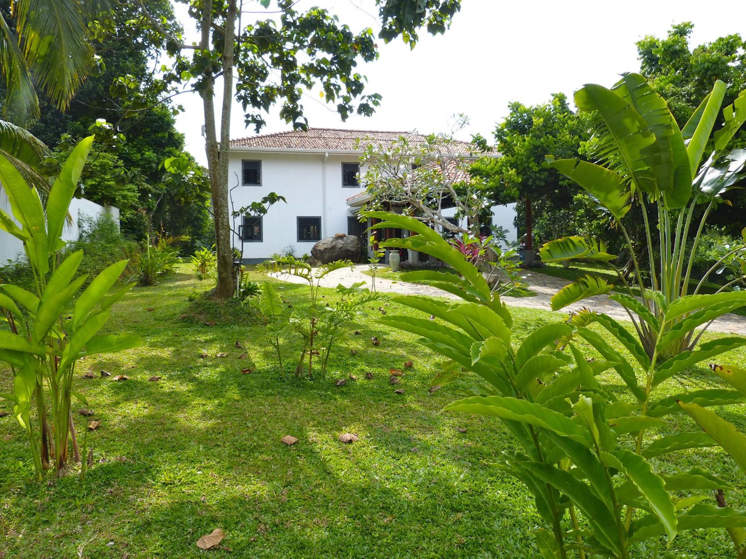 Photo 21