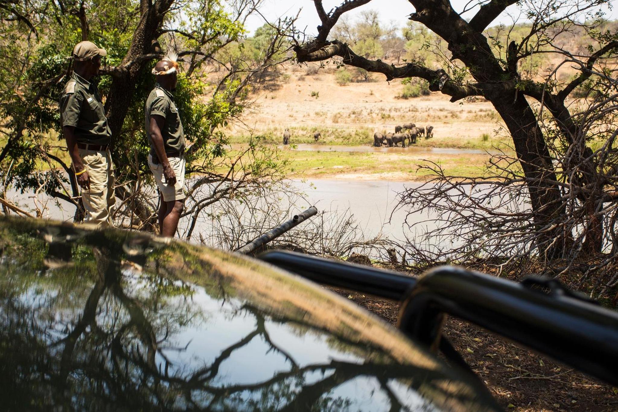 isiLimela Game Lodge