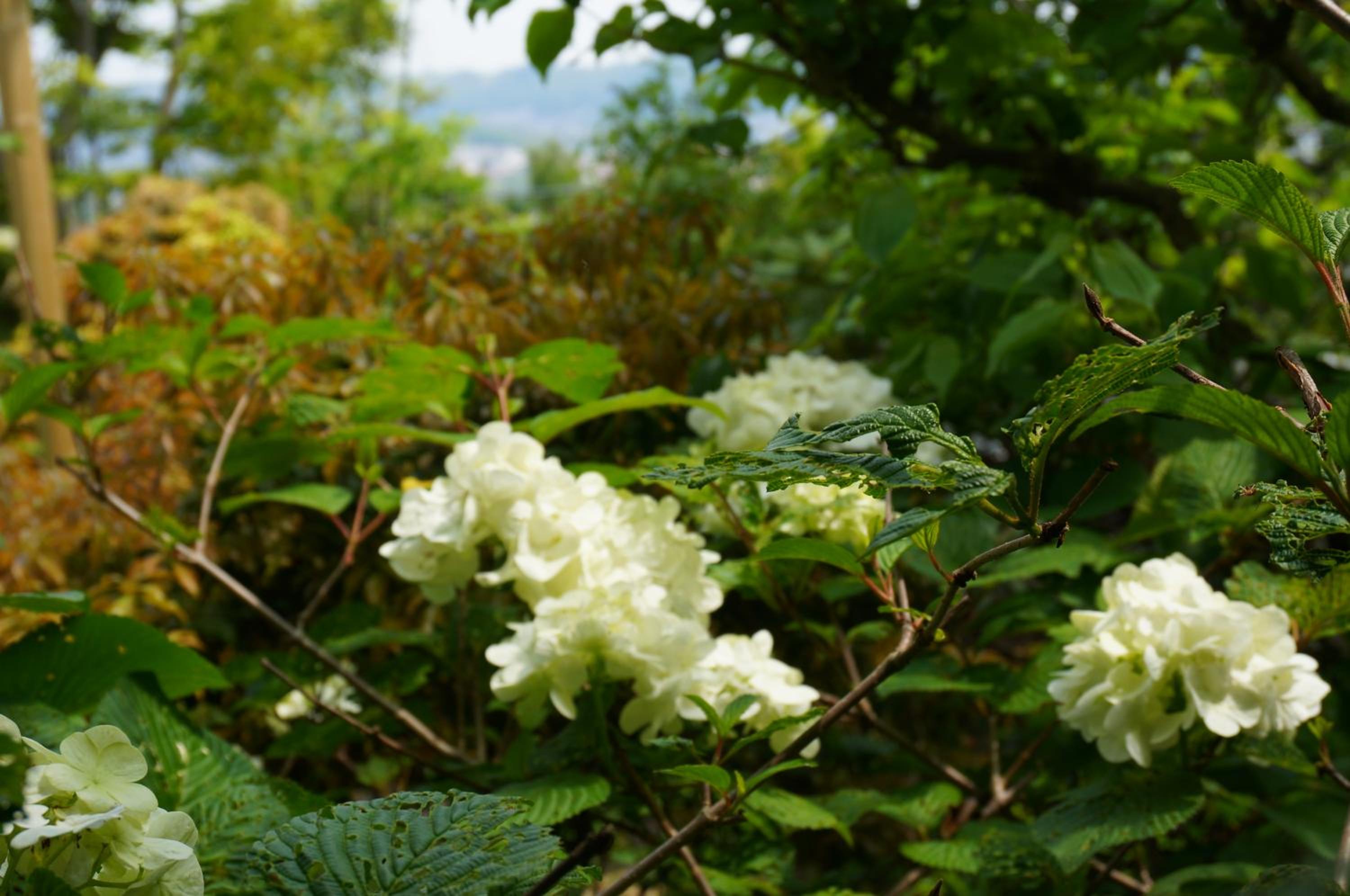 Atelier Bee's Knees Bed & Breakfast view 5