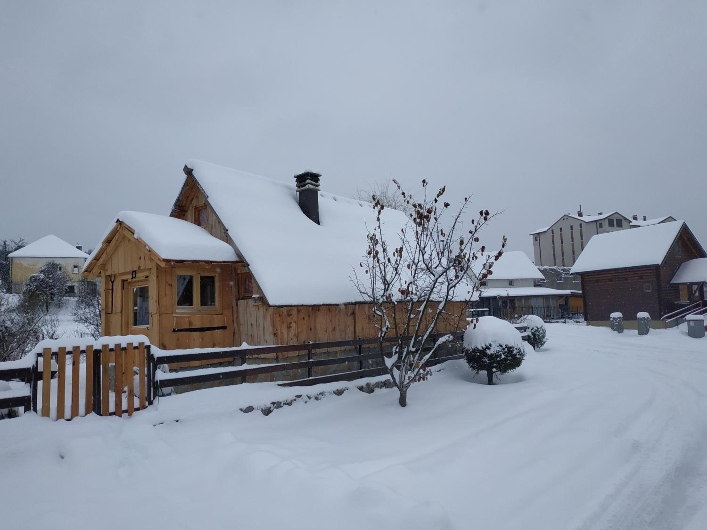 Photo 40