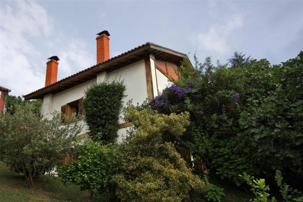 Photo 45