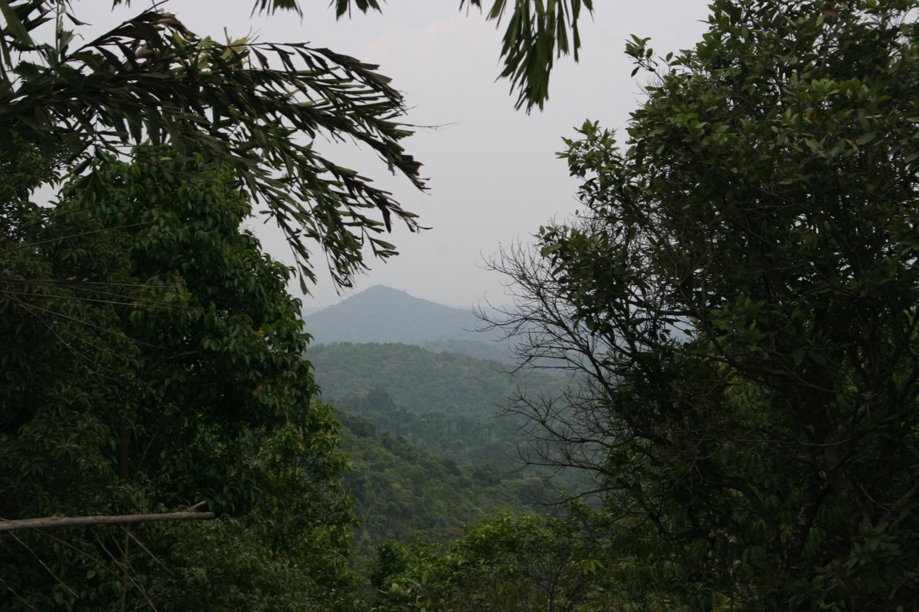 Photo 45