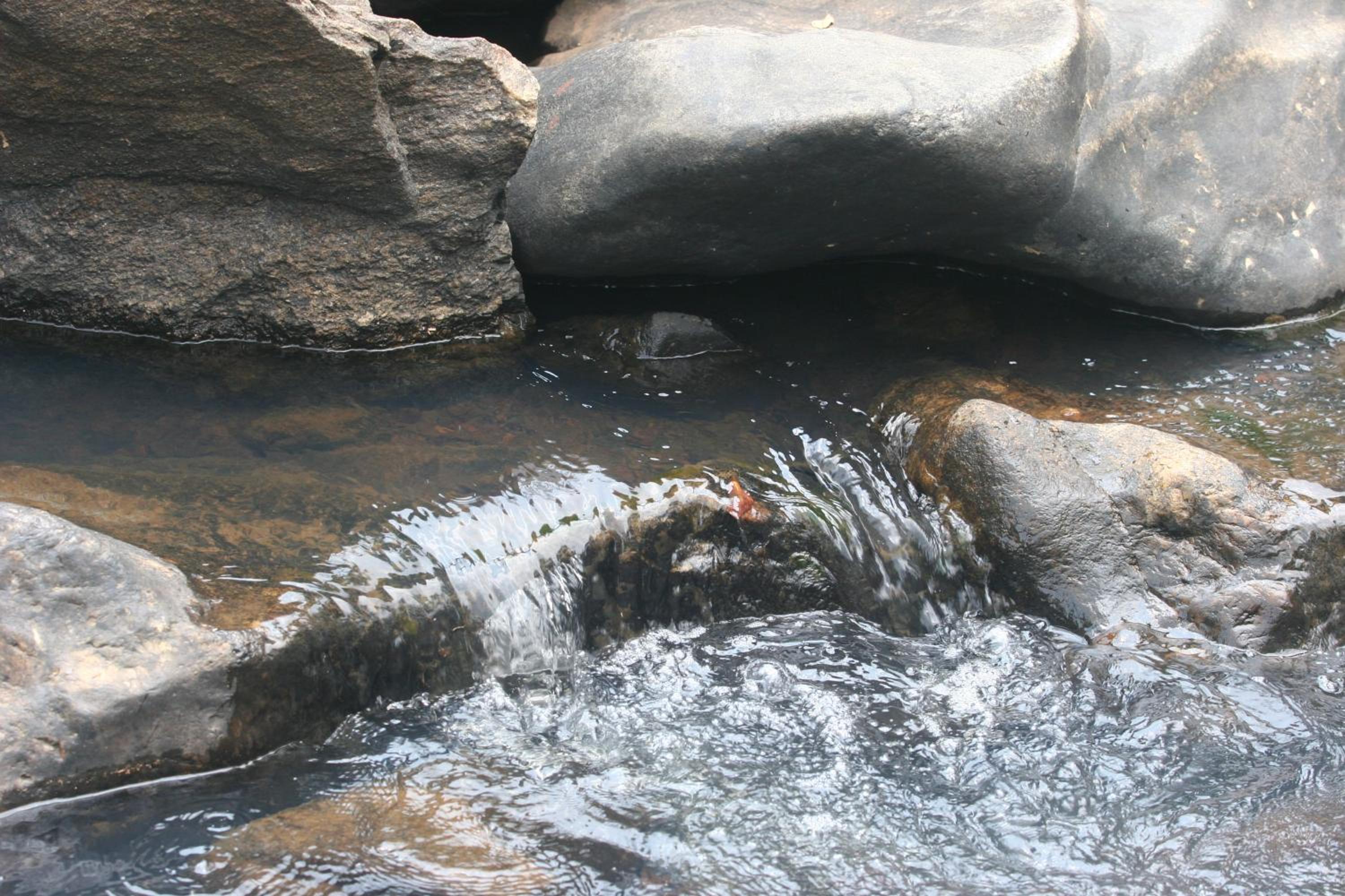 Photo 49