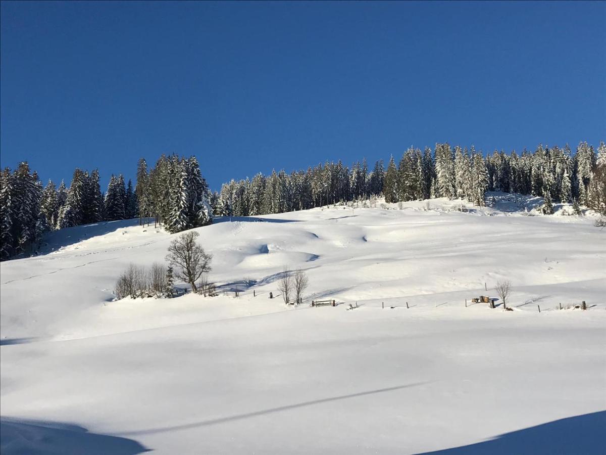 Bergpension Zinting