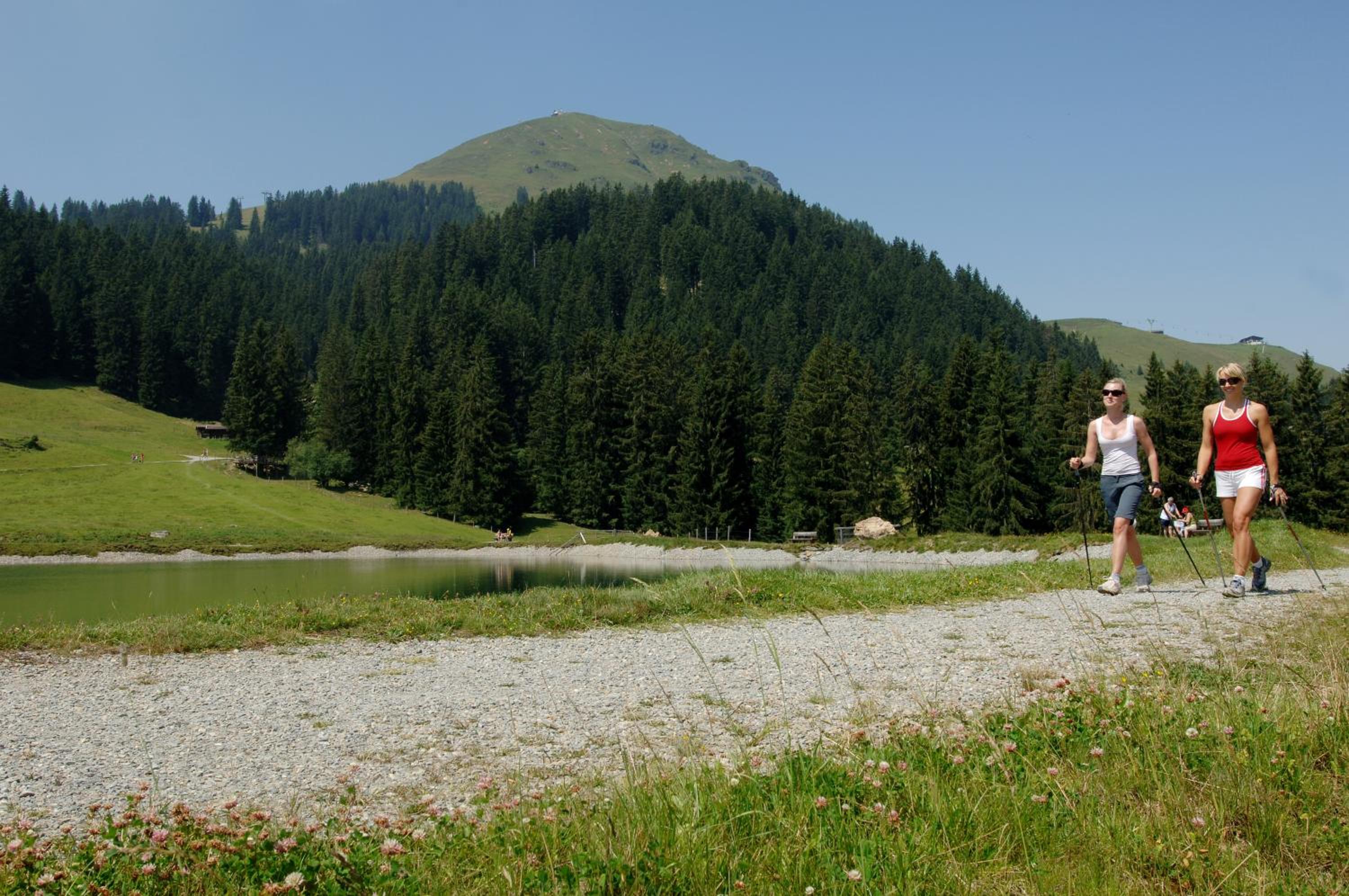Bergpension Zinting